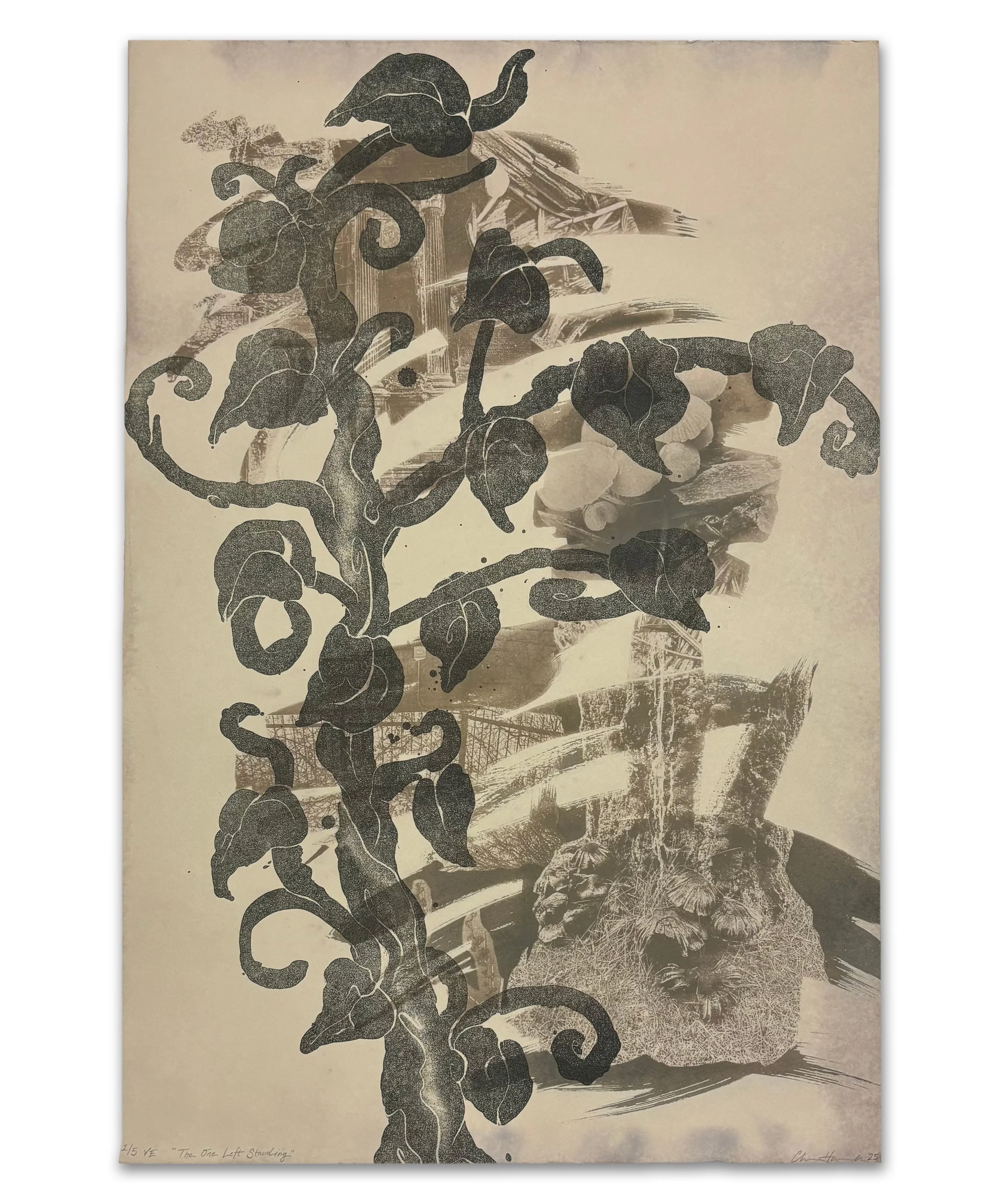 The Last one Standing | lithography on toned cyanotype | 15 x 22 in.