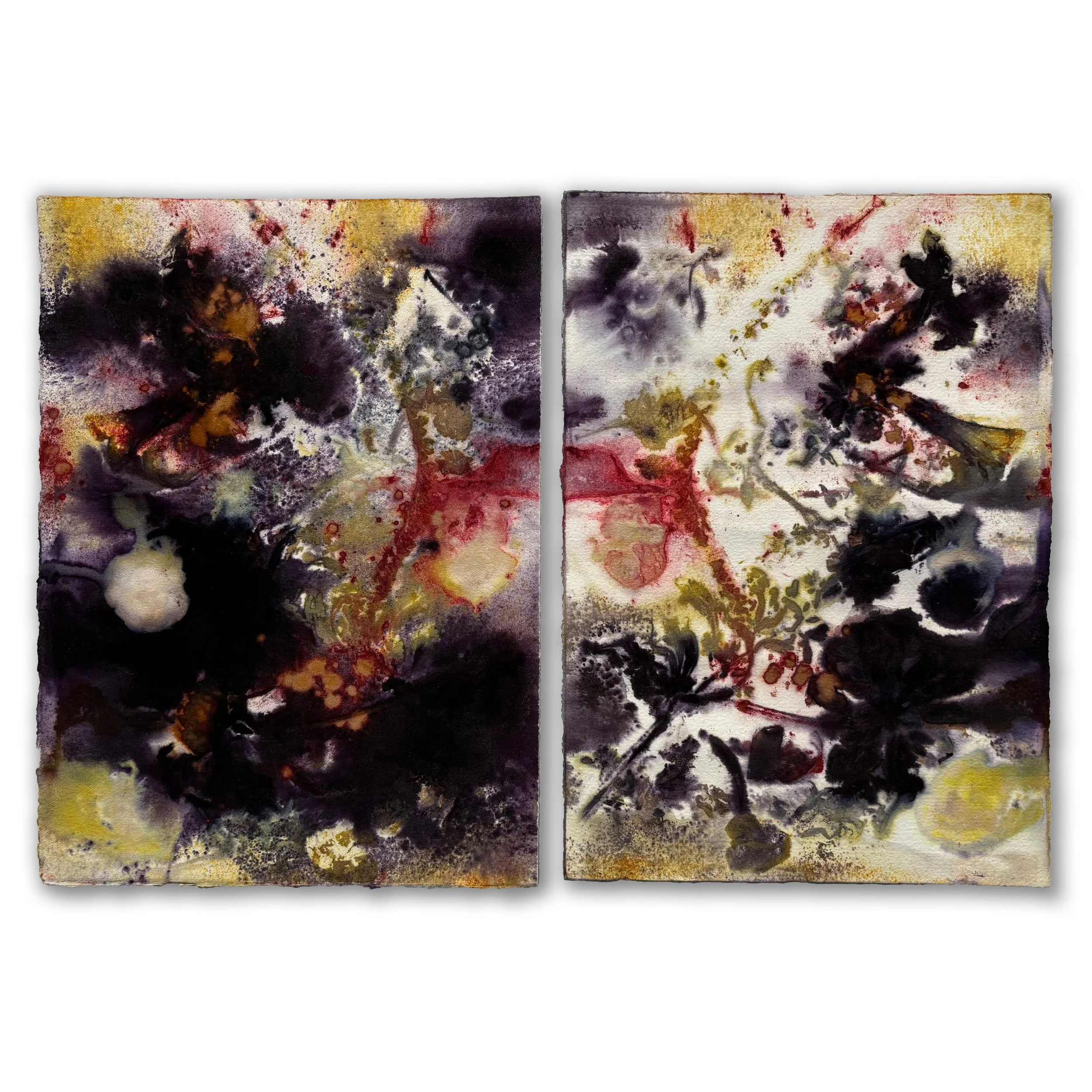 Campus Planters (Eco Print Studies) | 2024