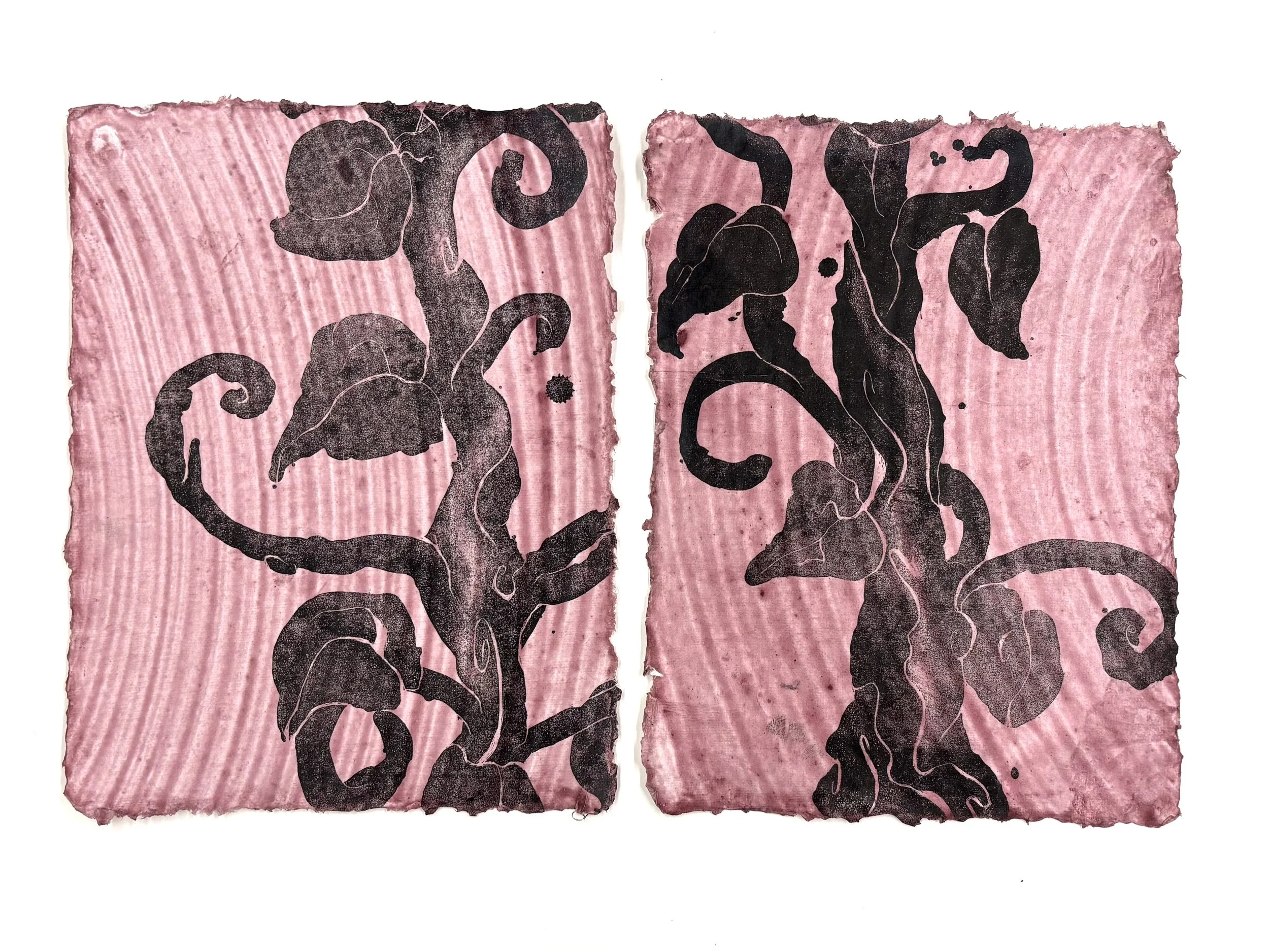 Untitled | lithography on paper brushed with natural dyes | variable dimensions