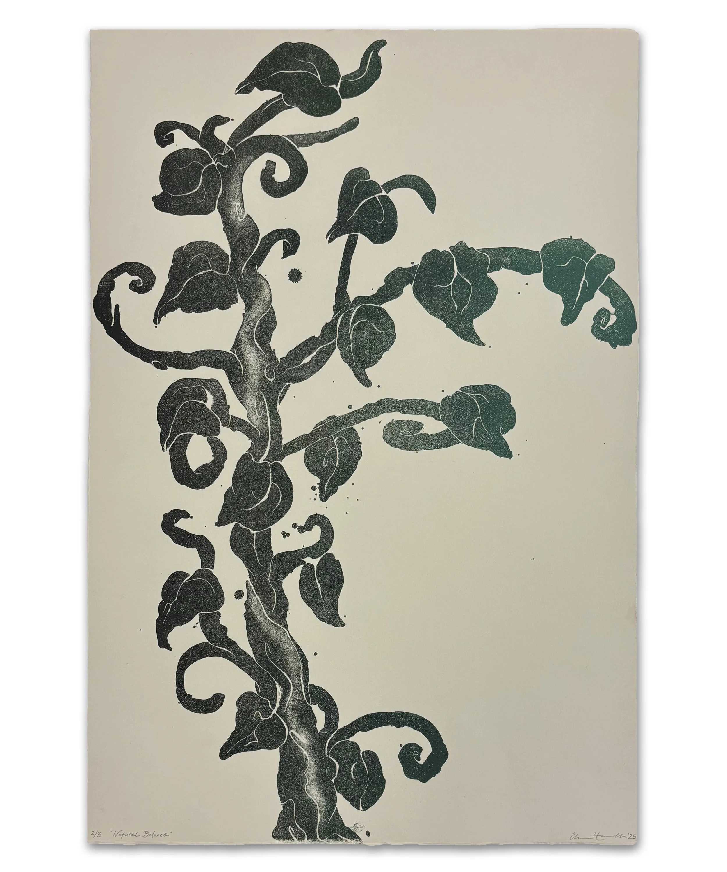 Natural Balance | stone lithography (blend roll) | 15 x 22 in. 