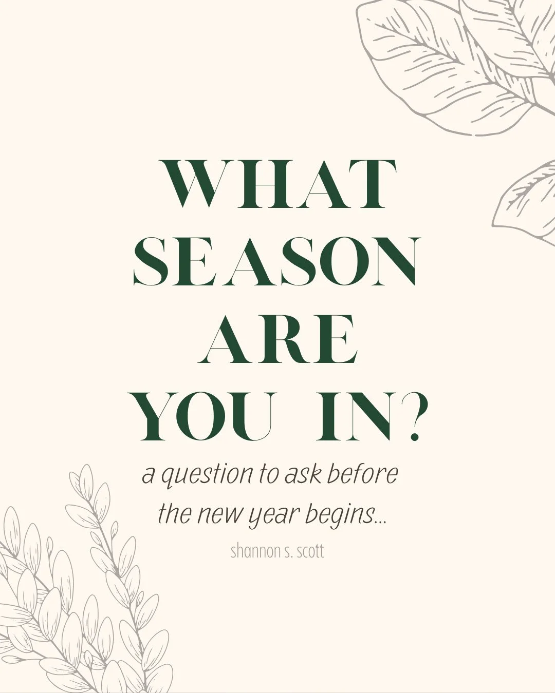 Before you set a single goal for the new year, can I ask you something?
What season are you actually in? Not the season you WISH you were in. Not the season everyone else seems to be in on Instagram. But YOUR season. Right now.
I've been thinking abo