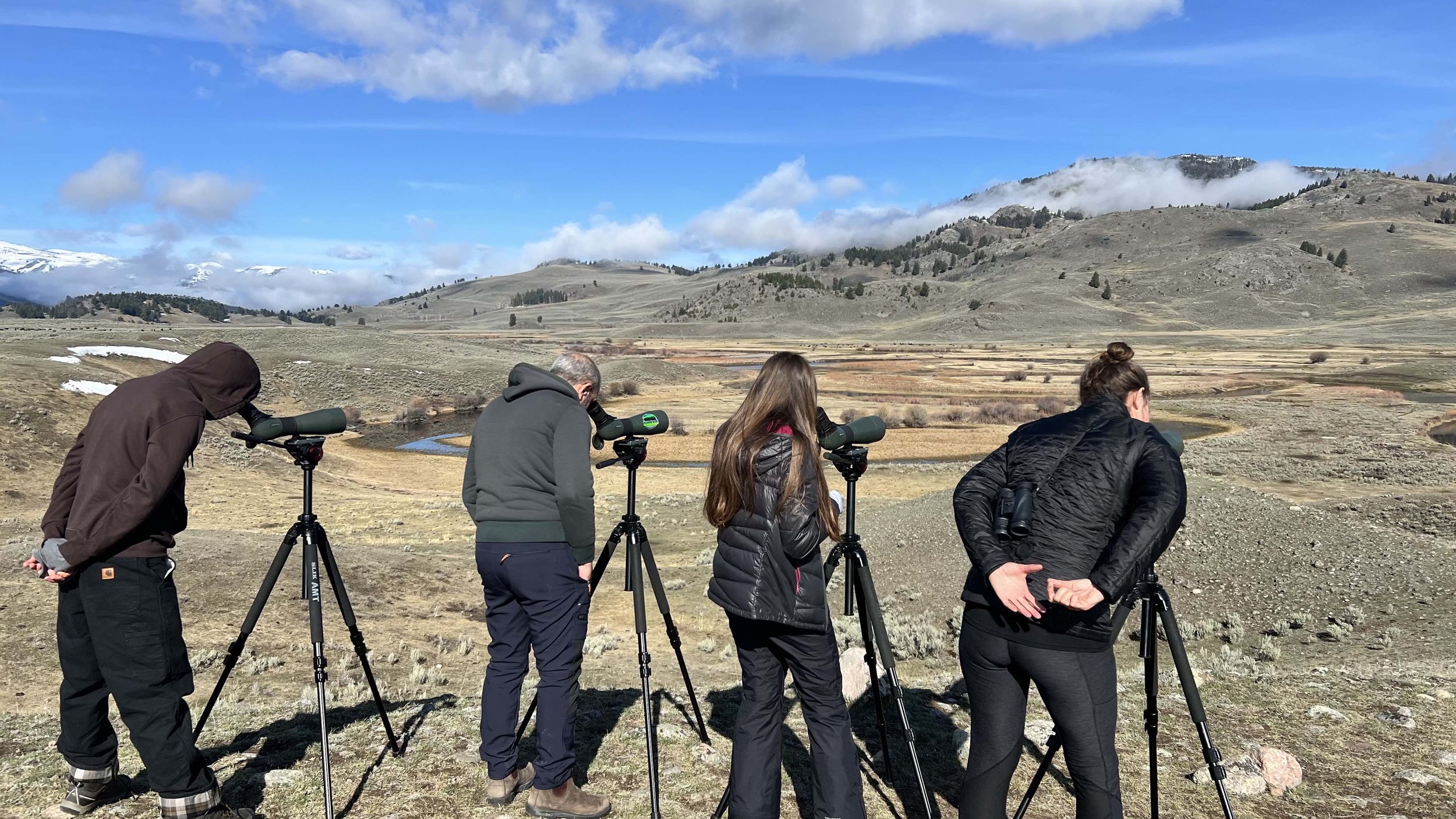 Finest equipment, scopes, Swarovski Optik and Nikon.