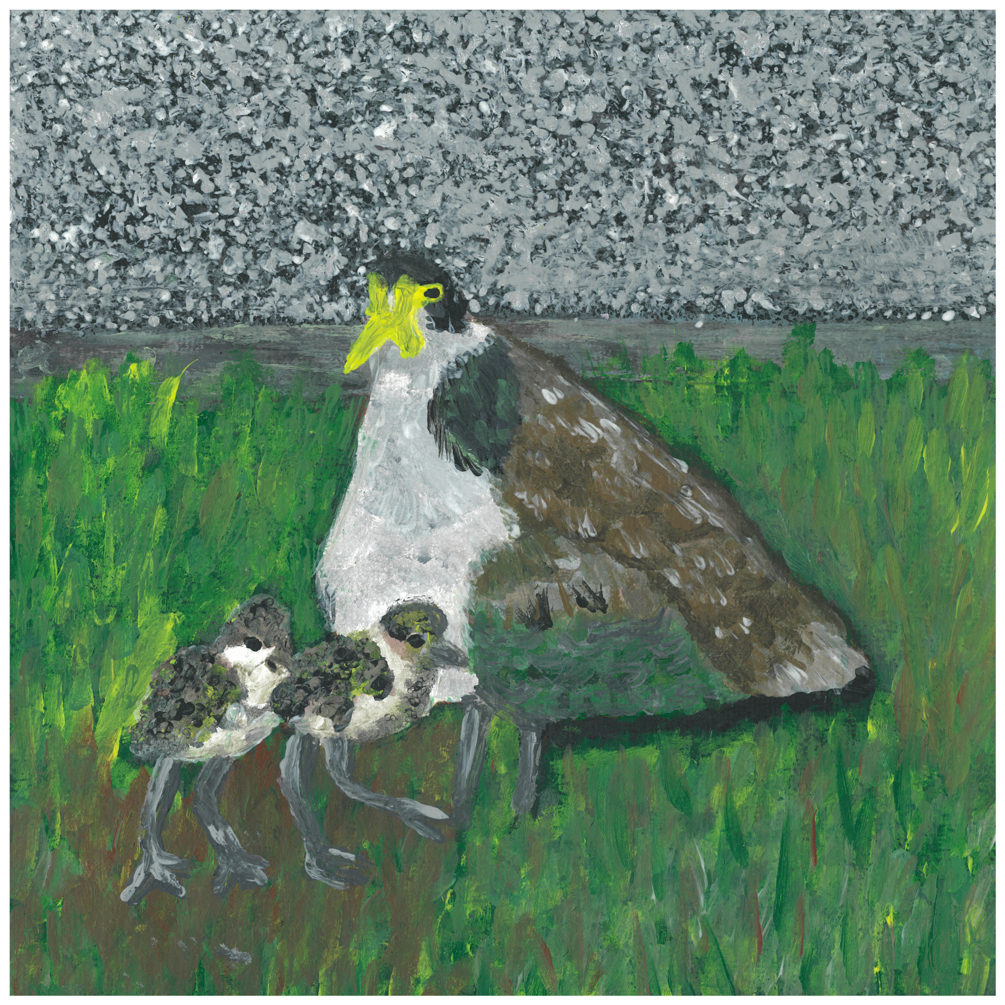 Masked Lapwing and her bubs