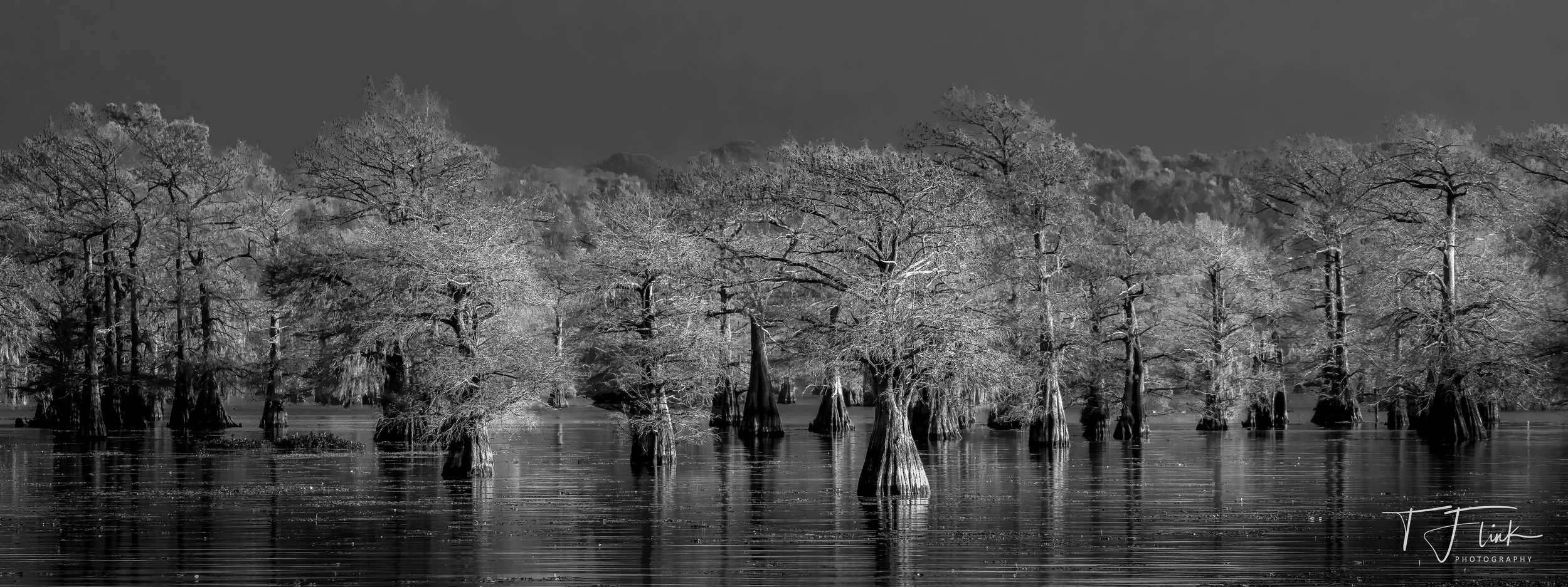 Caddo Lake, Texas