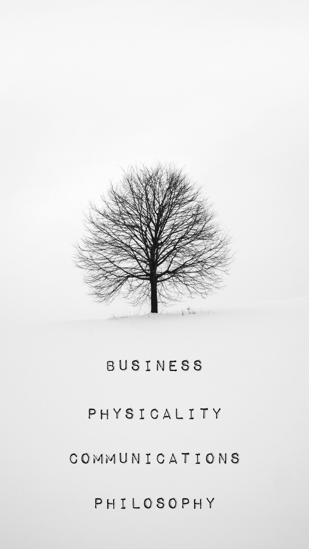 The 4 dimensions of a Professional Martial Artist