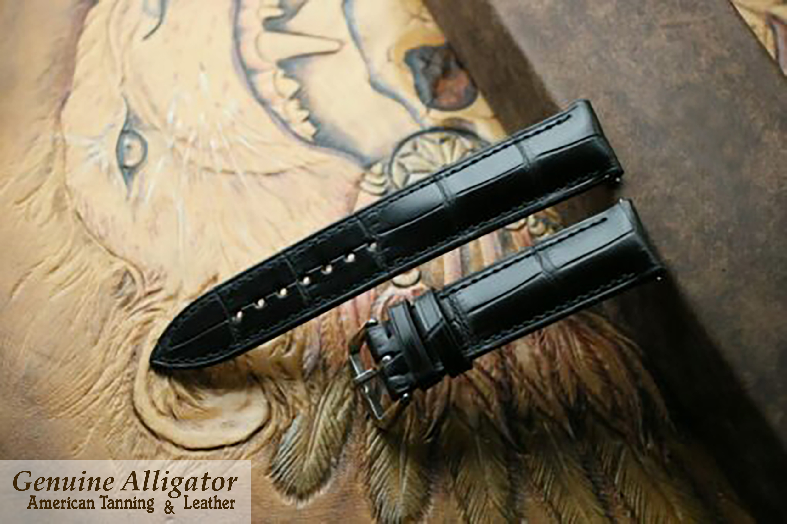 EMD Strap-Aligator.png