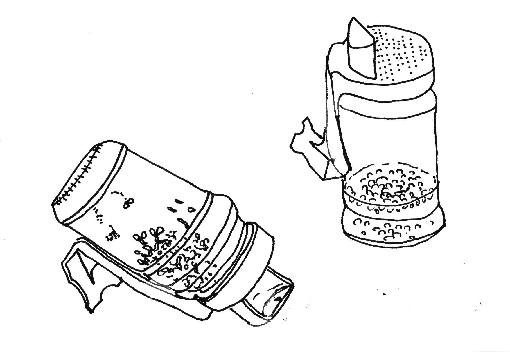 graines germes_03.jpg