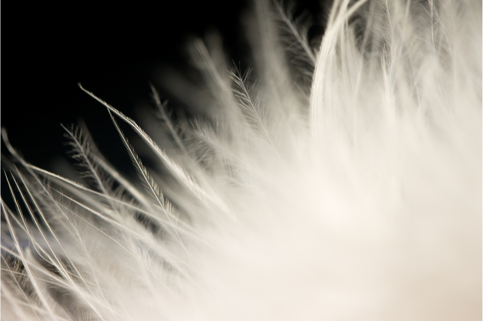 Ζάχαρη: ένας φίλος όχι και τόσο γλυκός…