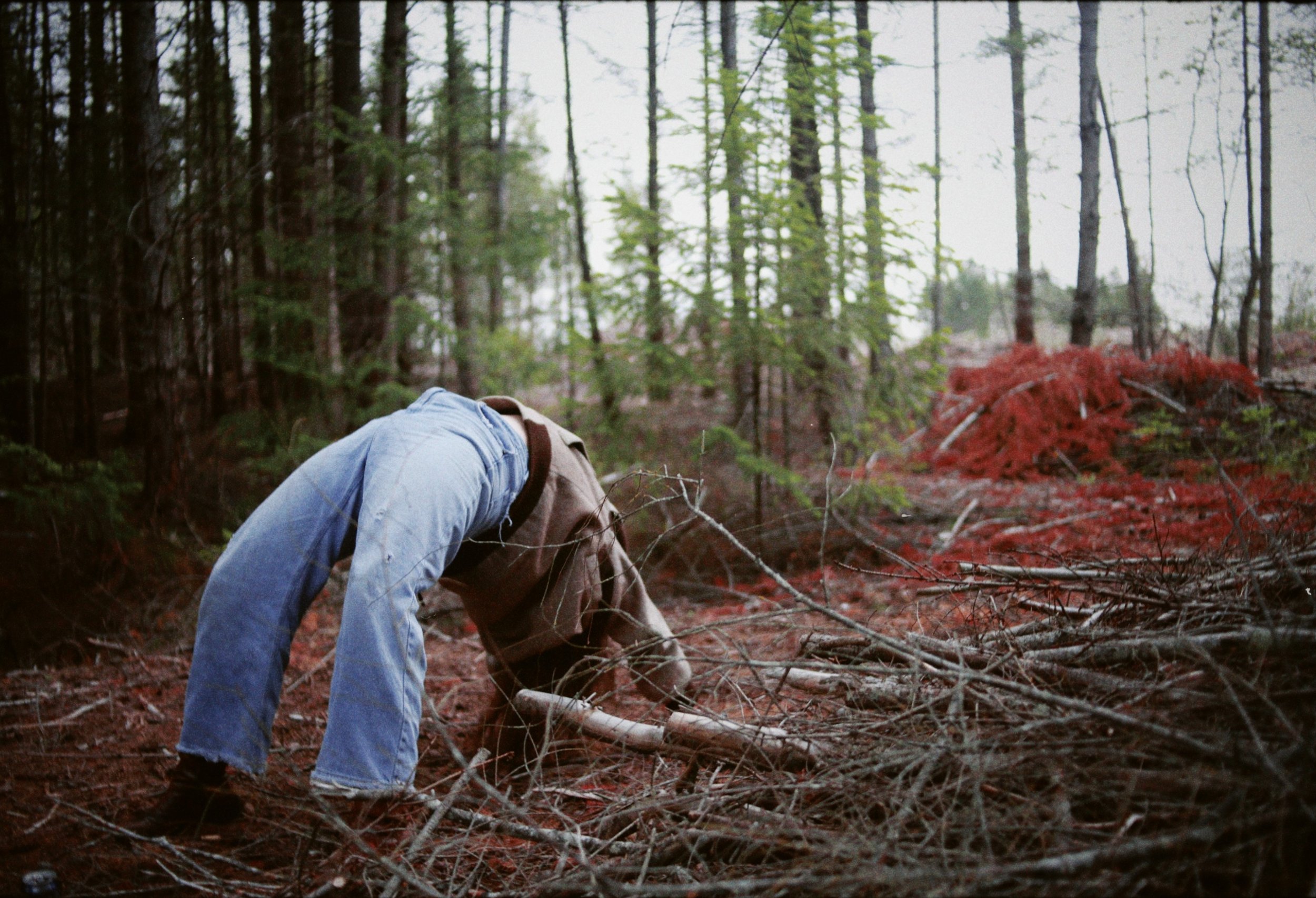 dblack 2025-01-06 024229.257.jpg