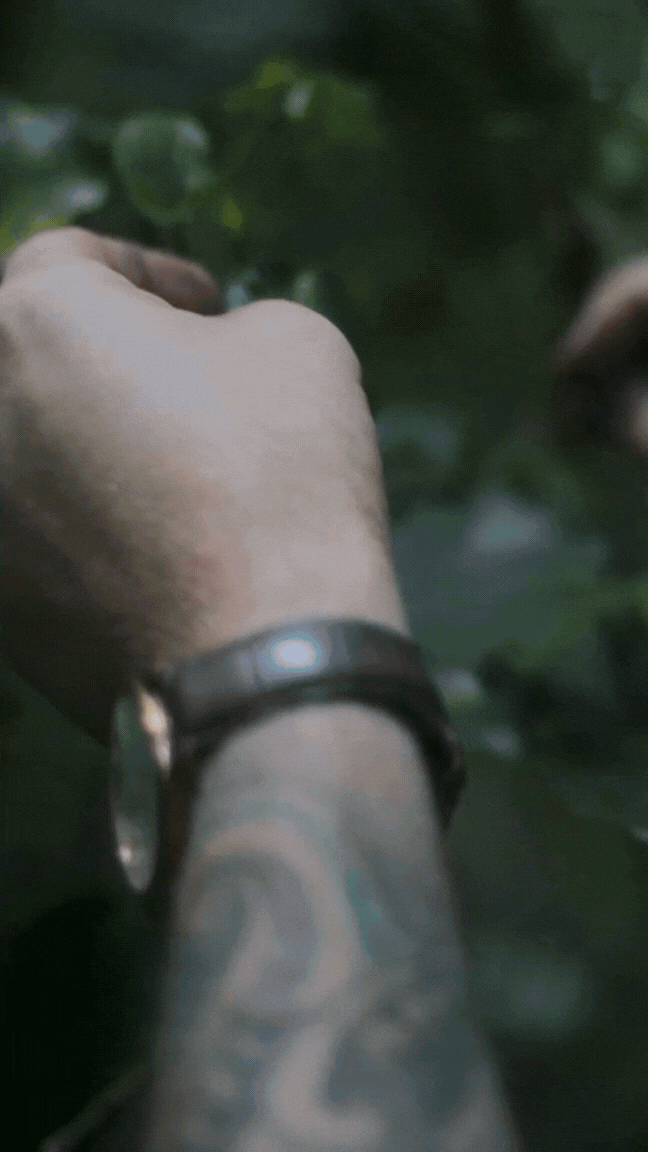 Untitled design (7).gif