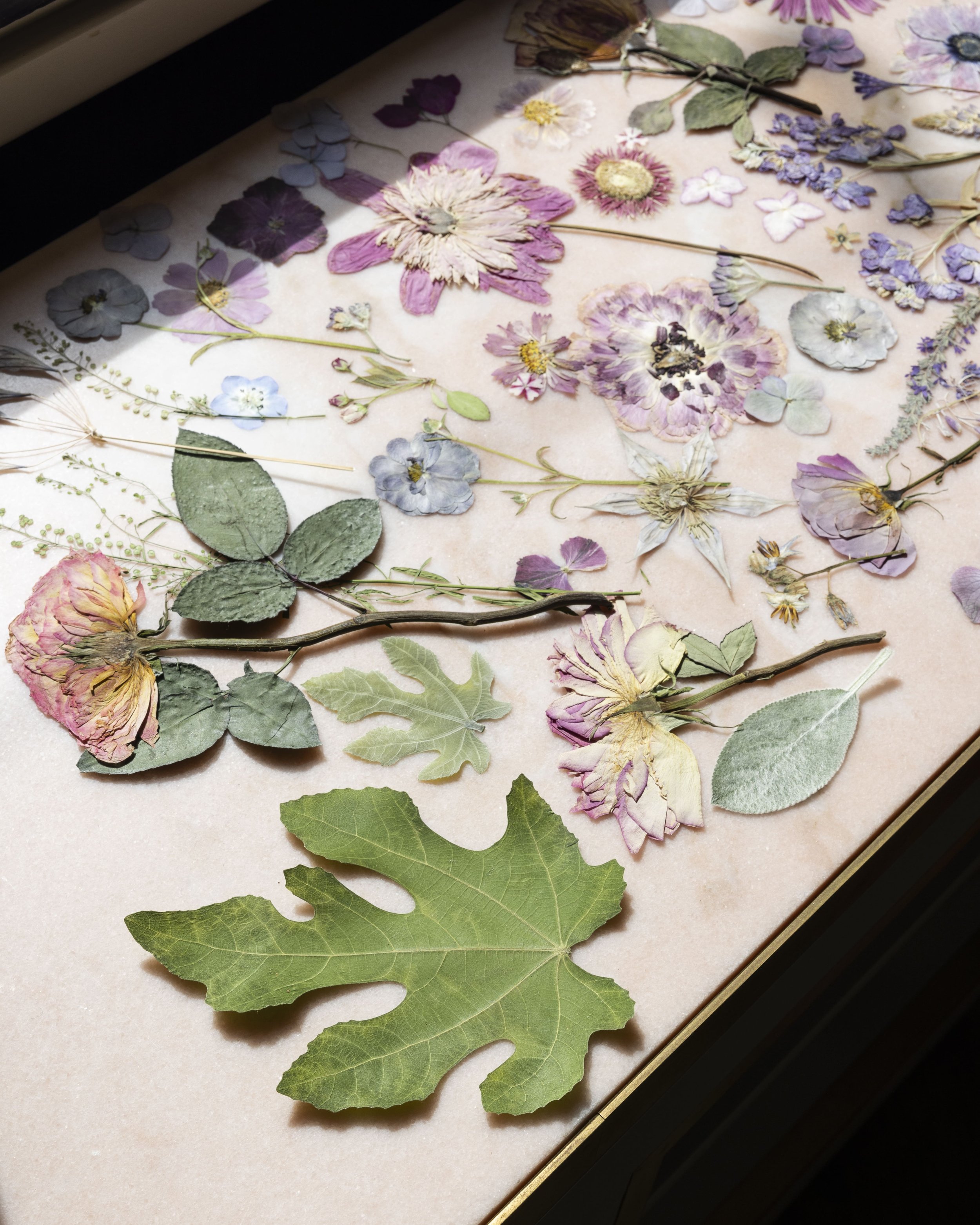 Fiori e foglie essiccate distribuiti su una superficie, alcuni con steli e altri solo con petali e foglie