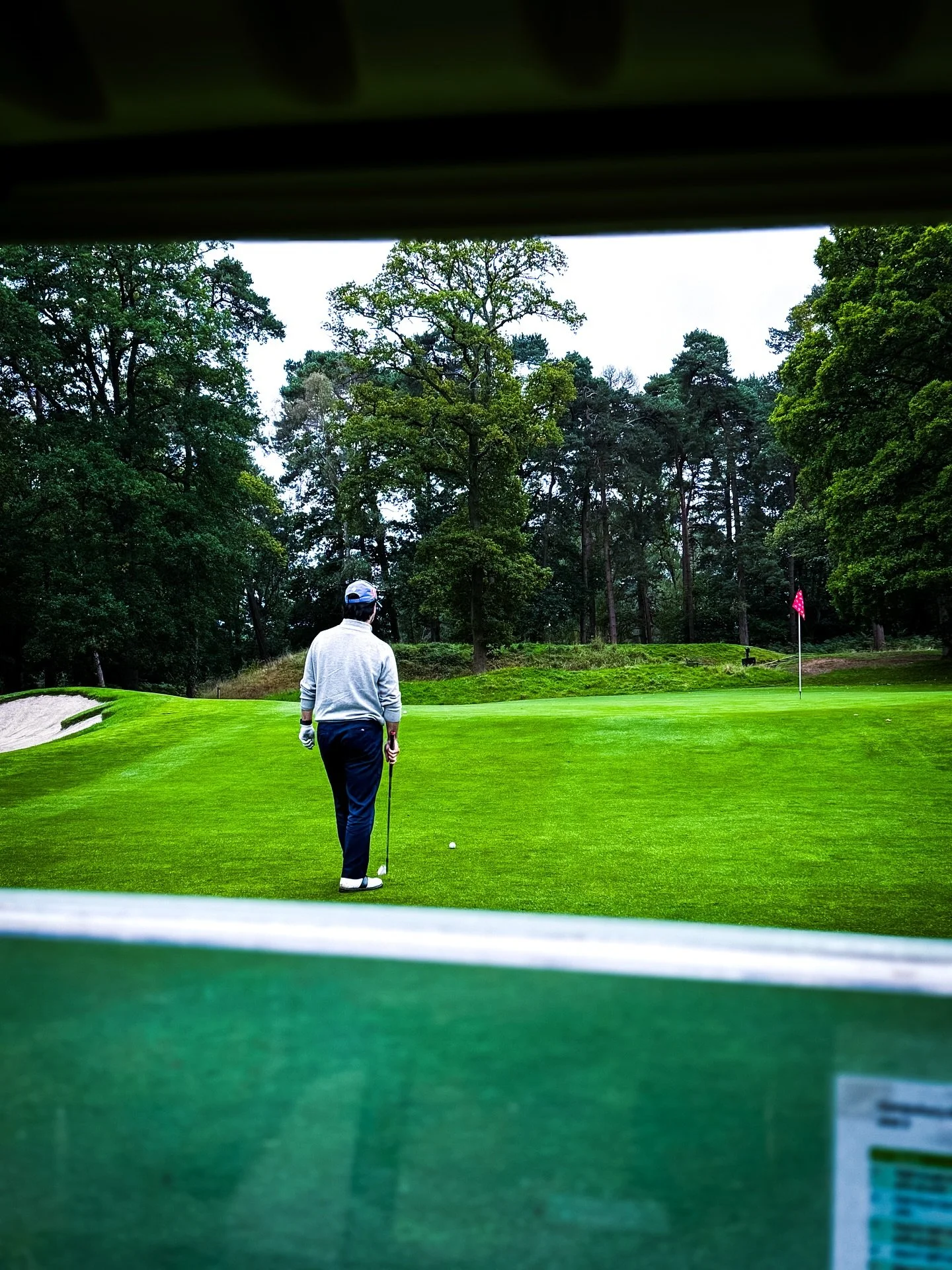 Buggy View 📸 

&bull;
&bull;
&bull;
&bull;

#golf #golfcart #golfcoach