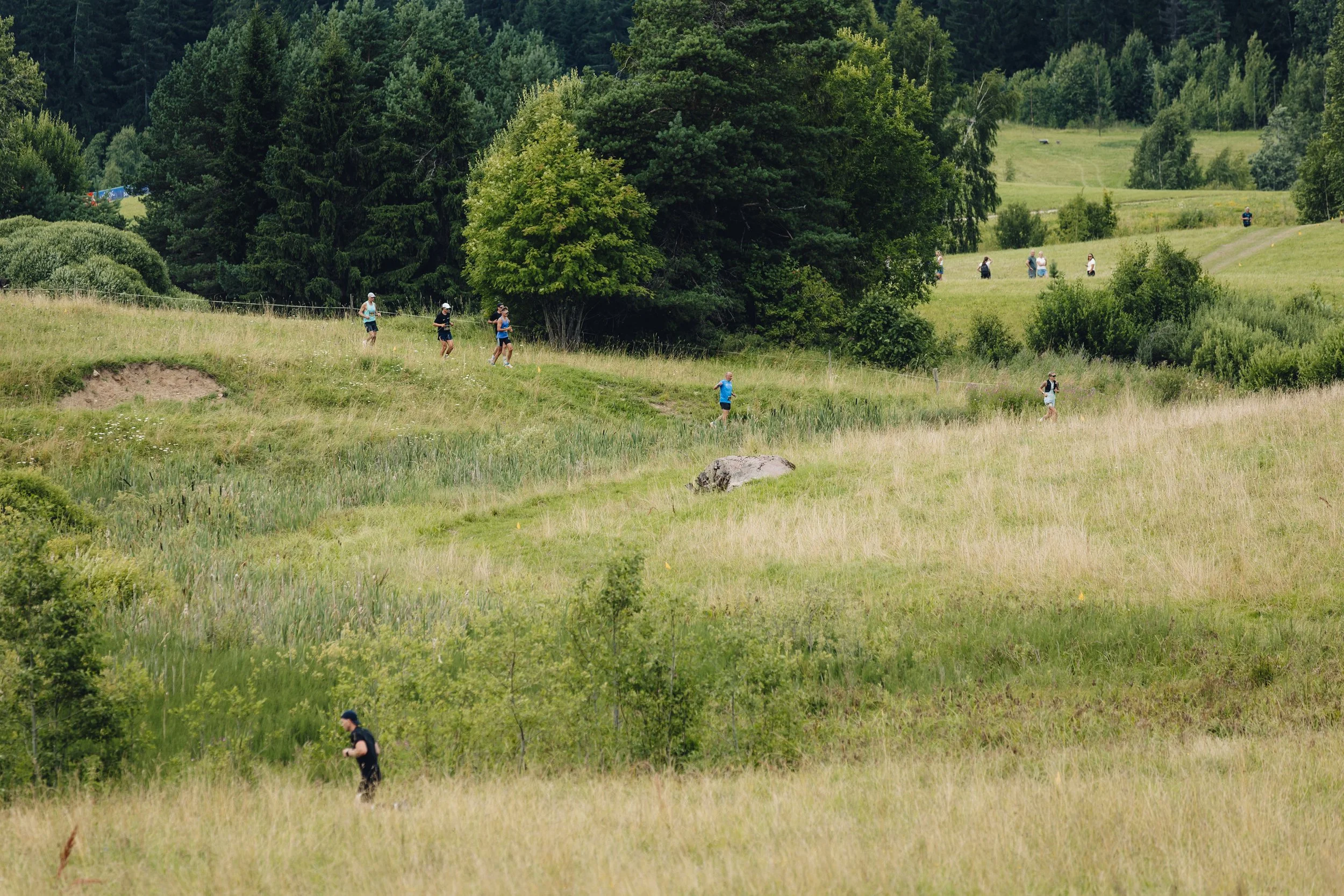 Leigo Trail_FotoReigoTeervalt-12.jpg