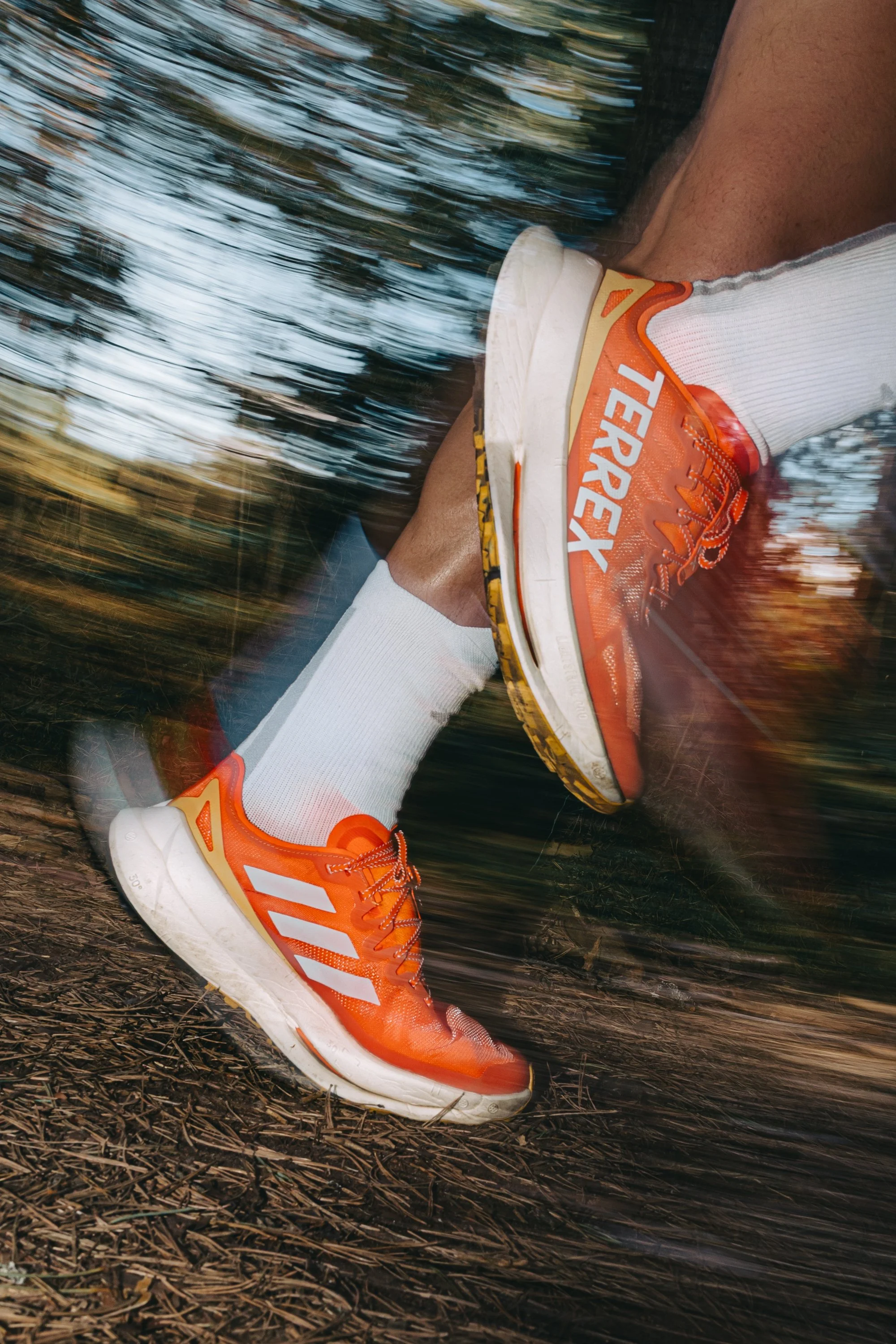 Adidas Terrex. 