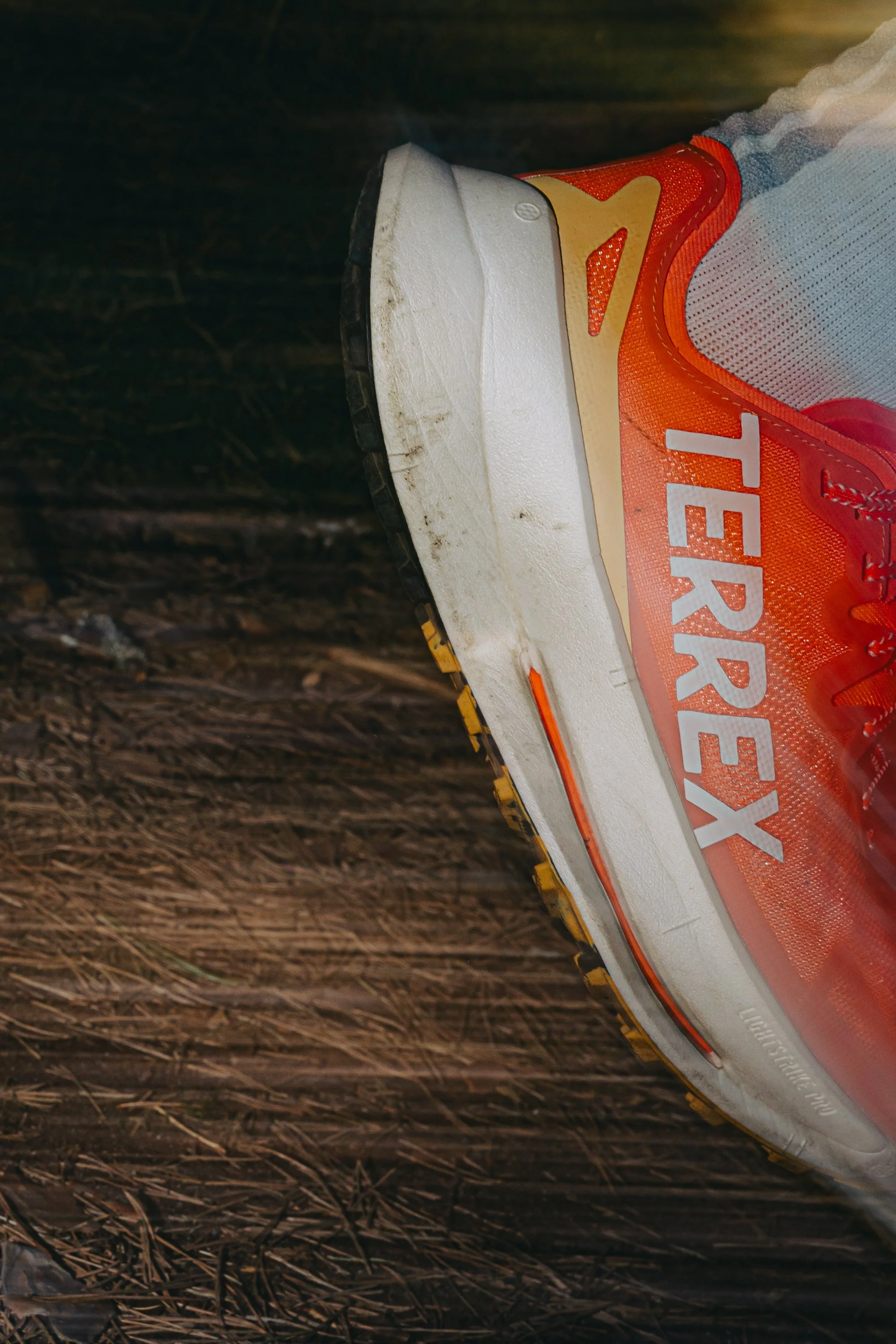 Adidas Terrex