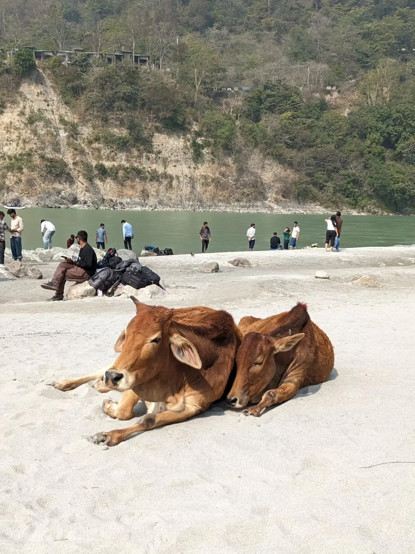 Indien ist kein klassisches Reiseziel.

Es ist herausfordernd.
Manchmal anstrengend.
Manchmal zu viel.

Es ist laut, voll und unvorhersehbar.

Und genau darin liegt etwas Besonderes.

Du kannst hier nicht alles planen.
Nicht alles kontrollieren.

Du 