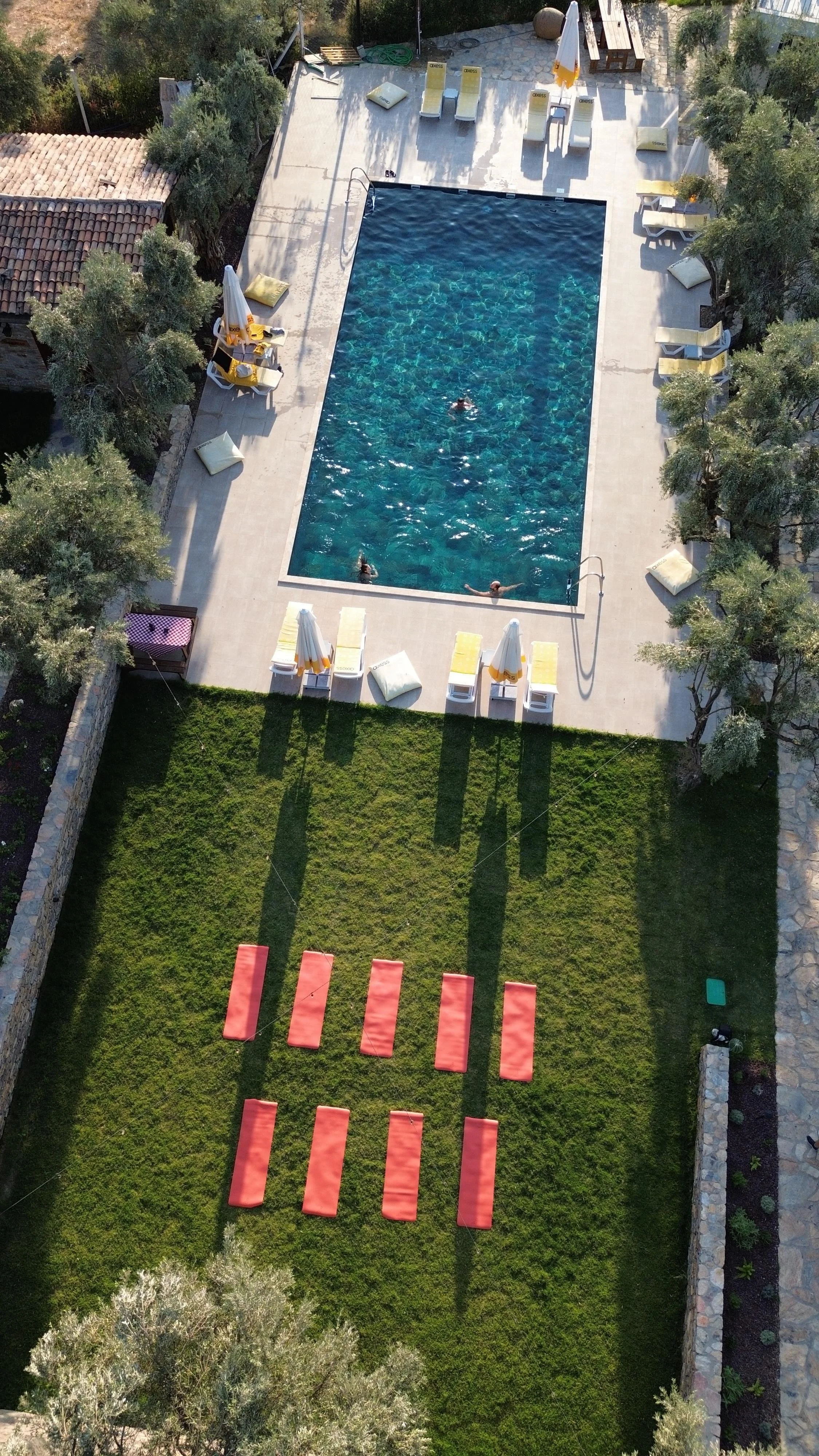 WhatsApp Image 2025-11-03 at 11.26.10.jpeg