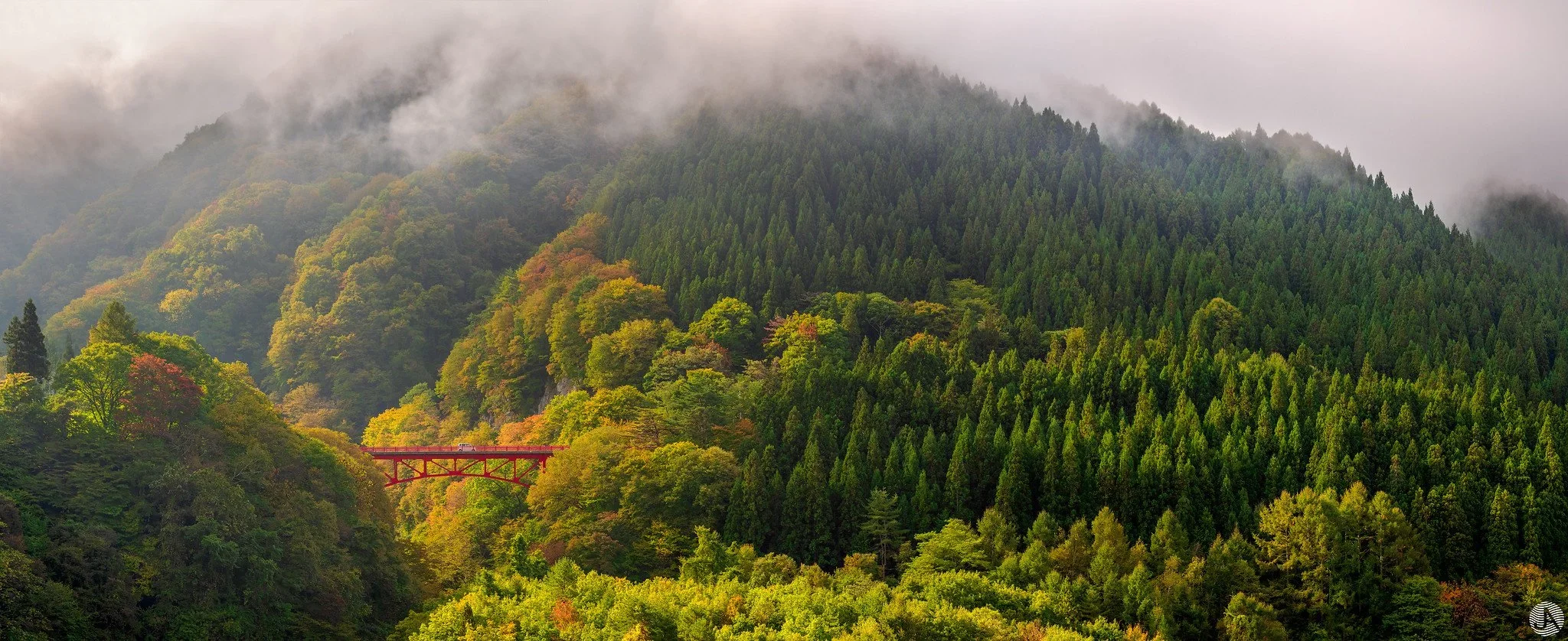 japan-autumn-colours-1.webp