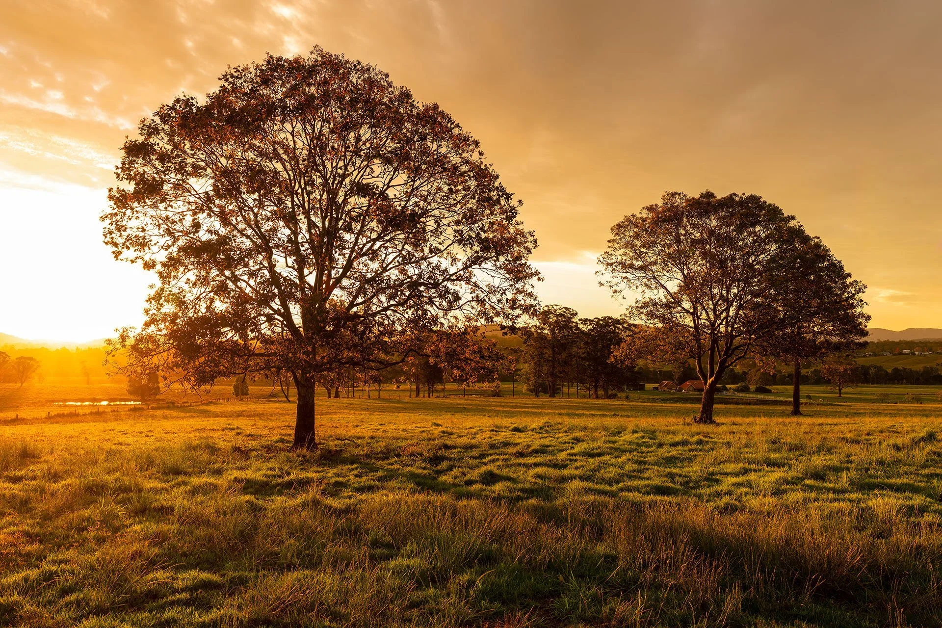 The Art of Landscape Photography: Finding the Extraordinary in Every Scene