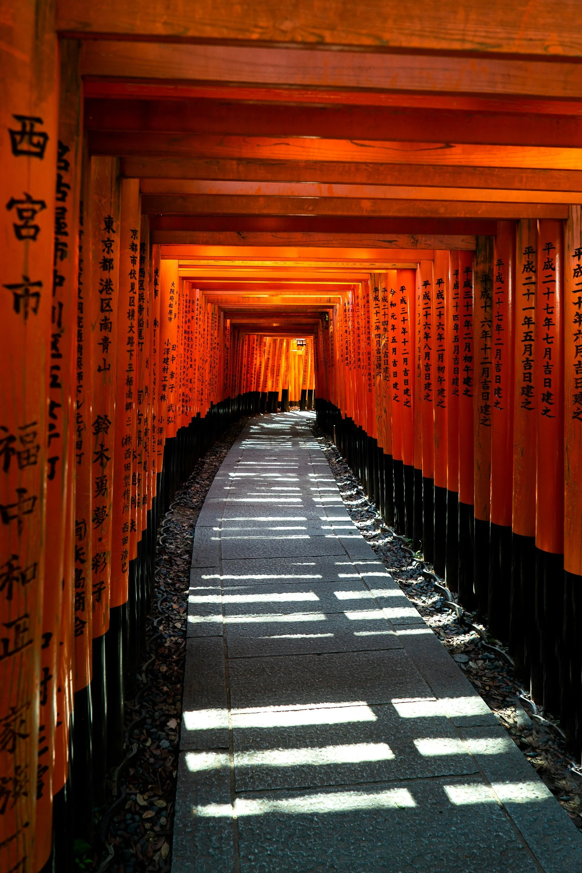japan-vermilion-torii-gates-2.jpg