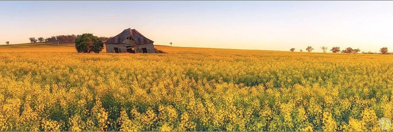 breeza-plain-canola-shed.jpg
