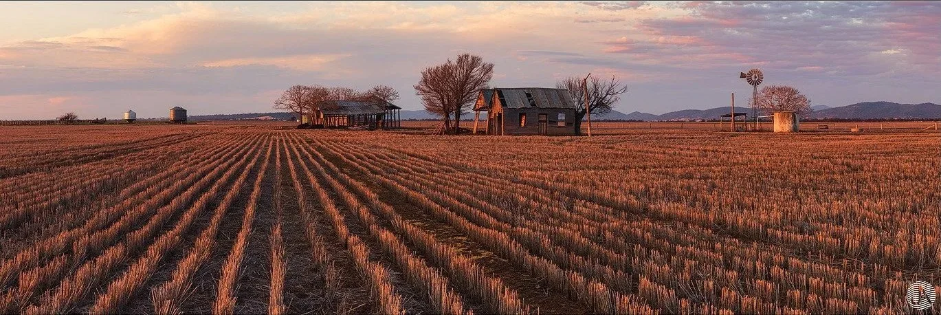 breeza-plain-wheat-farm-and-shed.jpg
