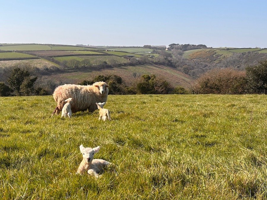 The Spring Quarter: Where the Land Leads