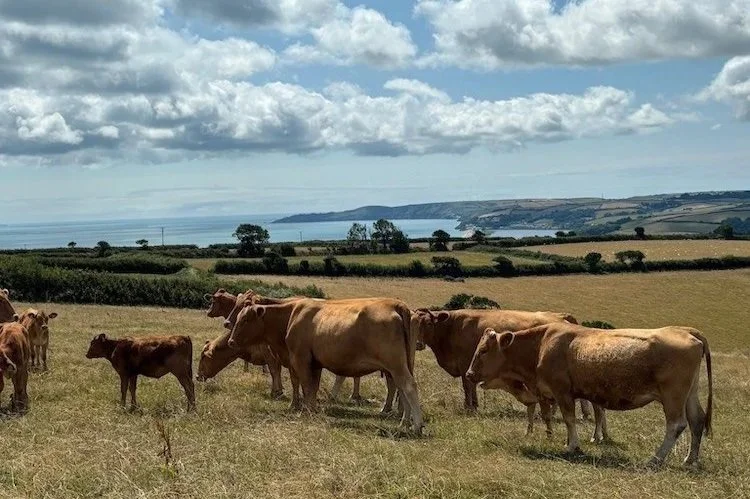 Our first year on the land