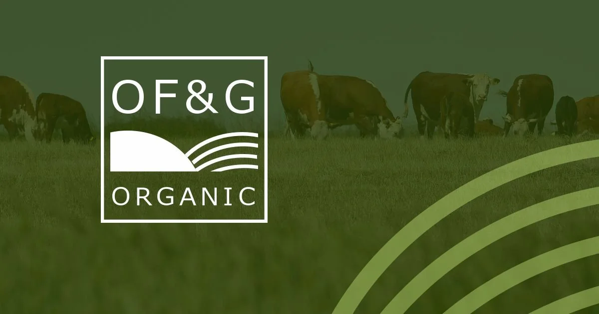 Organic certification process underway at Strete Farm
