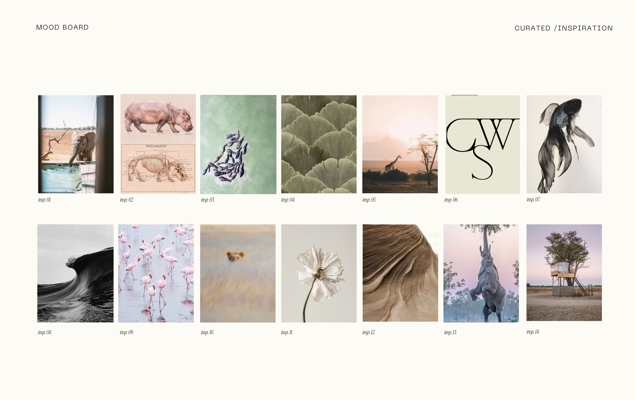 The Wild Edit / 01.7