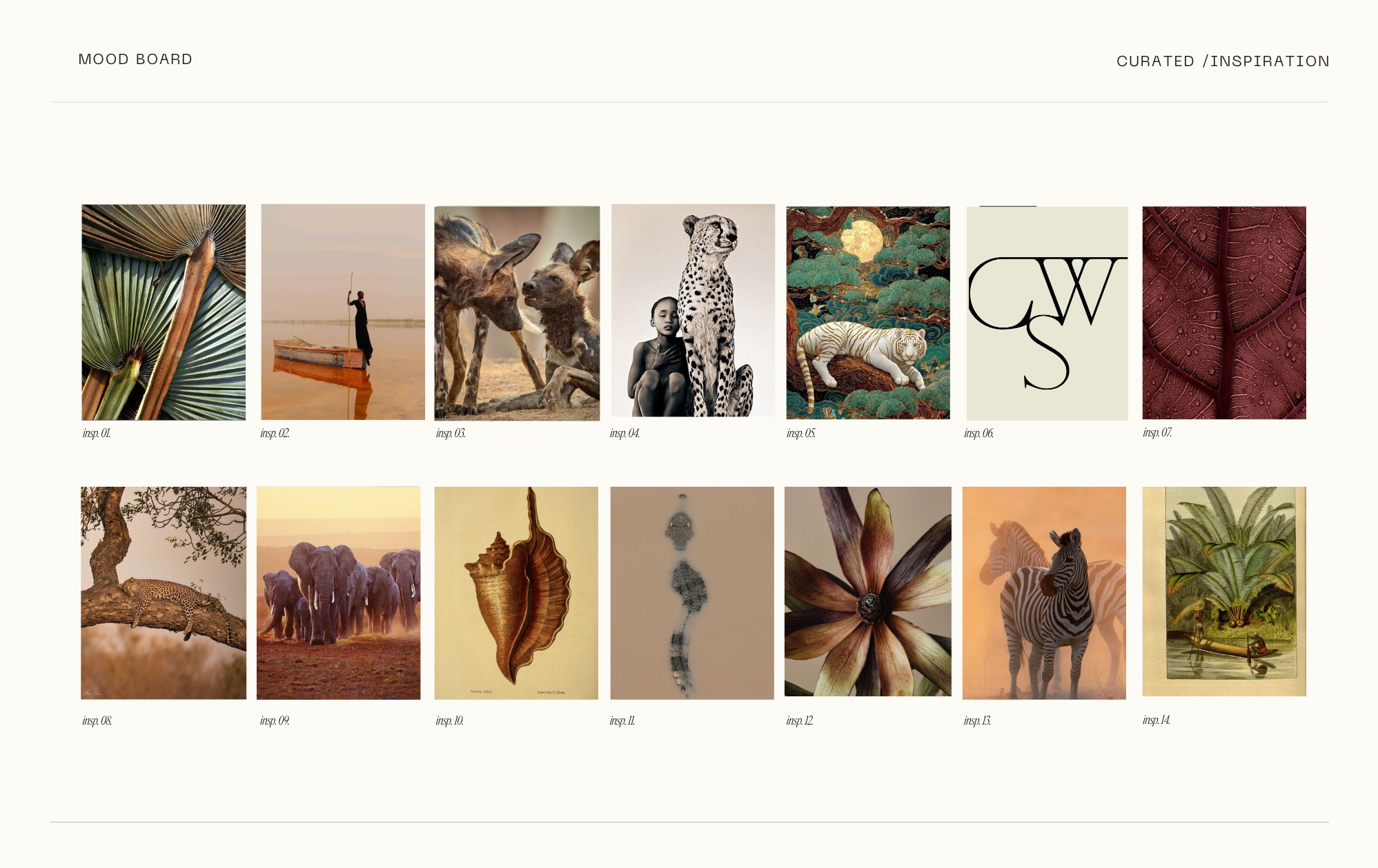 The Wild Edit / 02.1