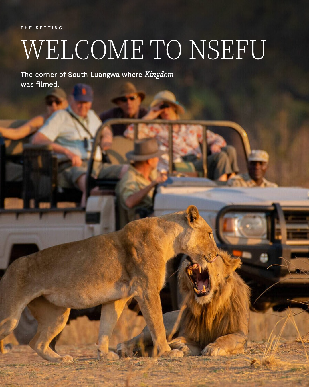 Kingdom Safari 02.png