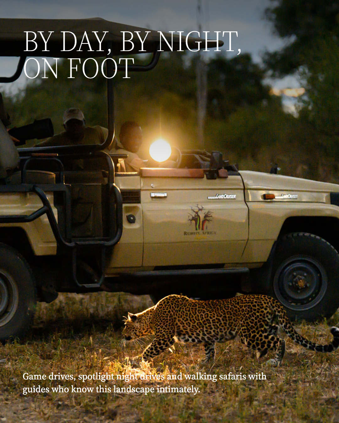 Kingdom Safari 07.png