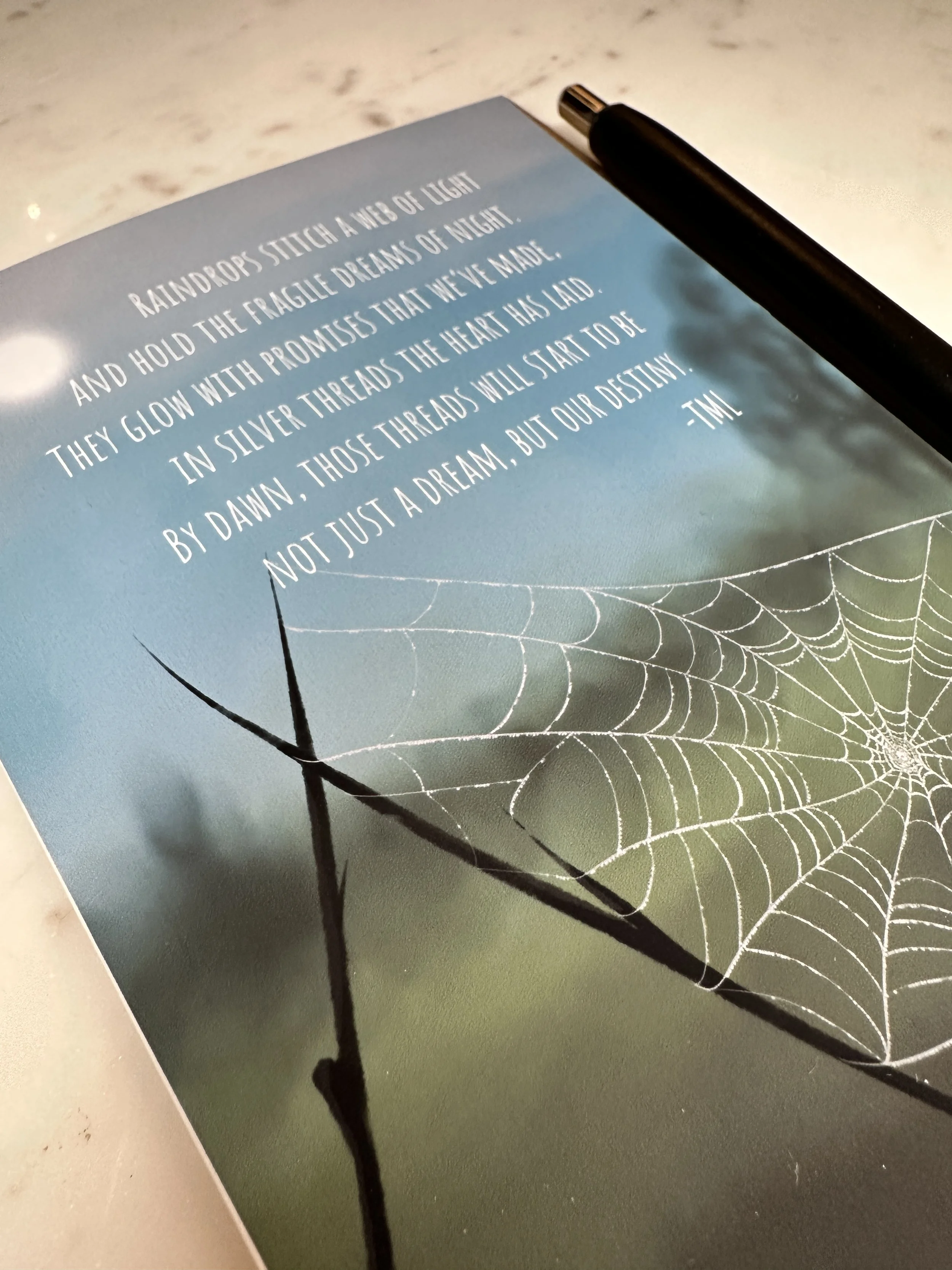 Cobweb with Poem Greeting Card