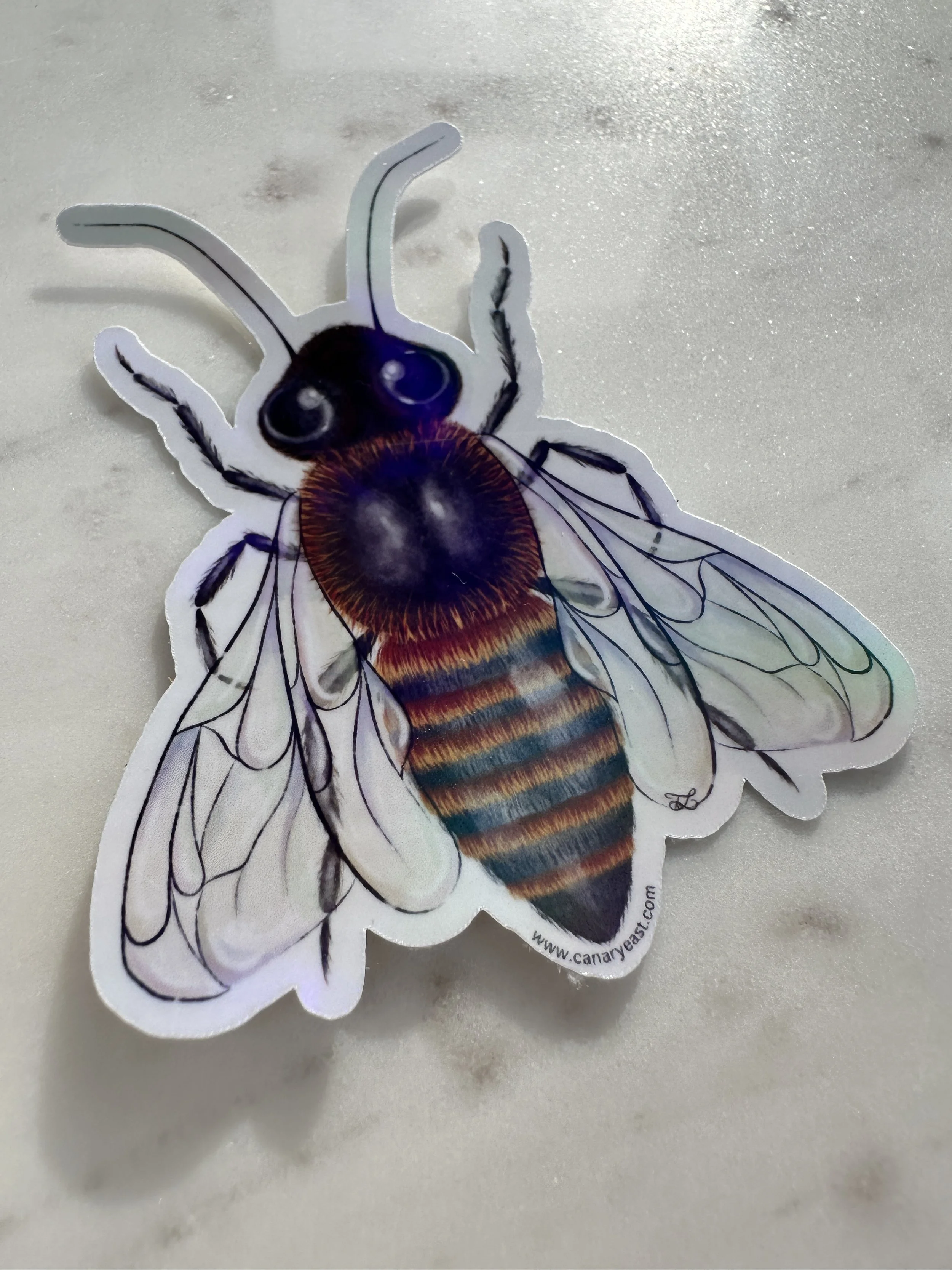 Single Holographic Bee Sticker