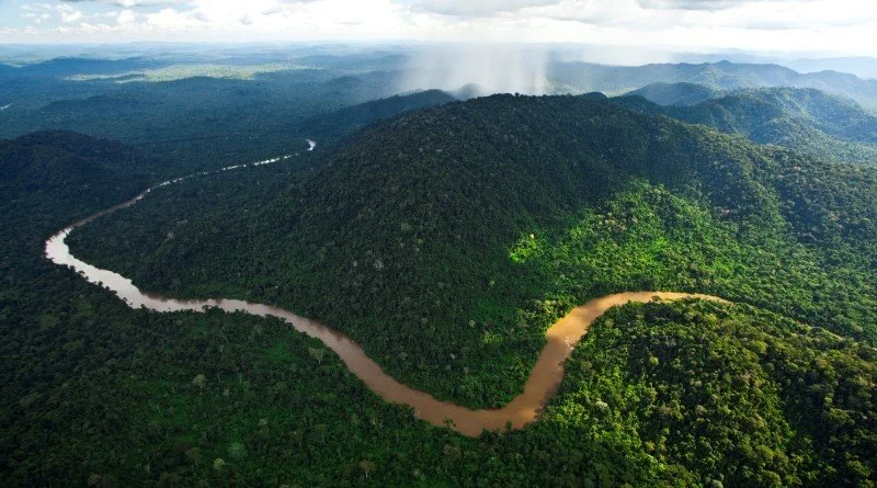 Sociobioeconomia de Floresta em Pé: uma solução viável para a Amazônia