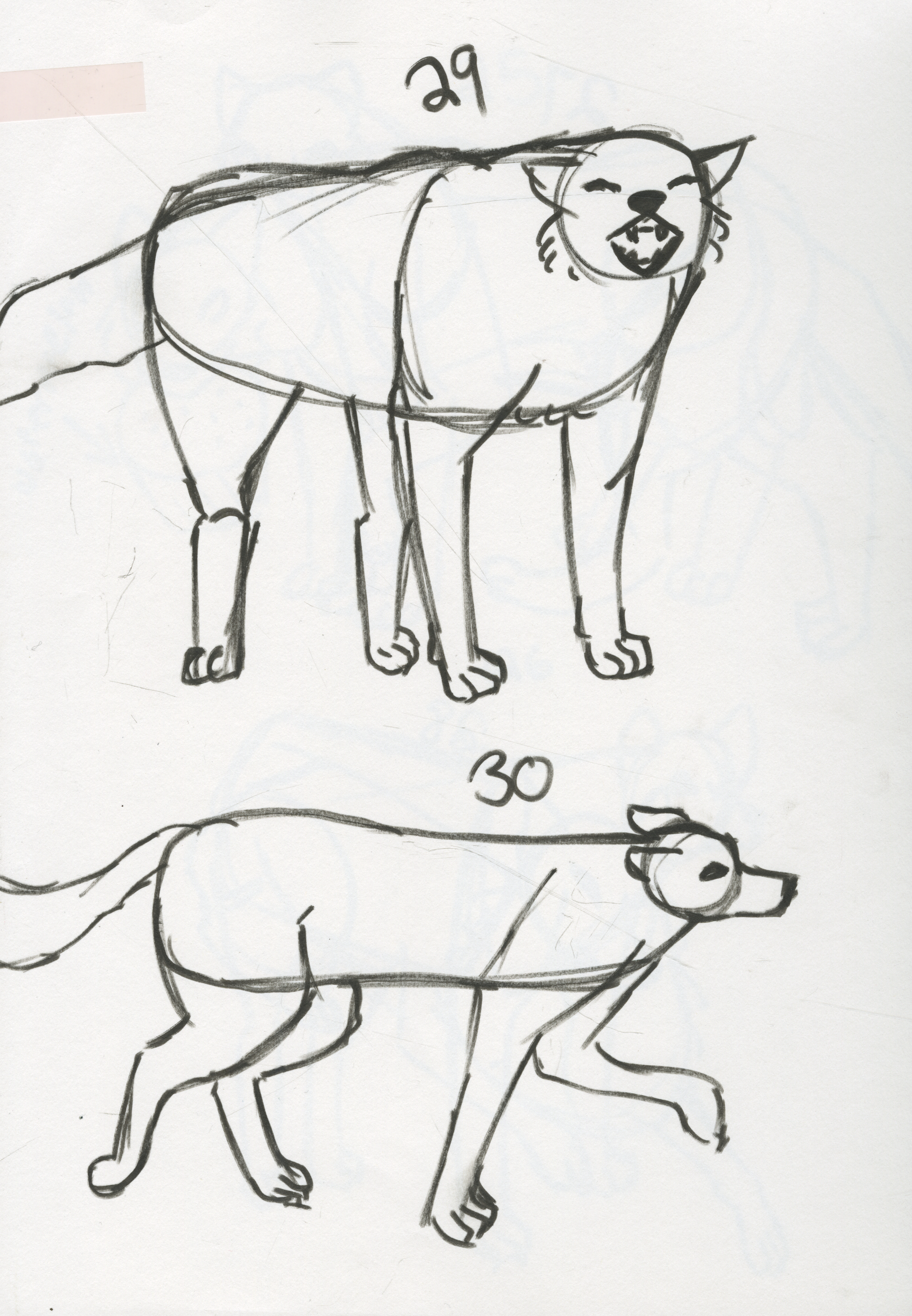 Wolves.png