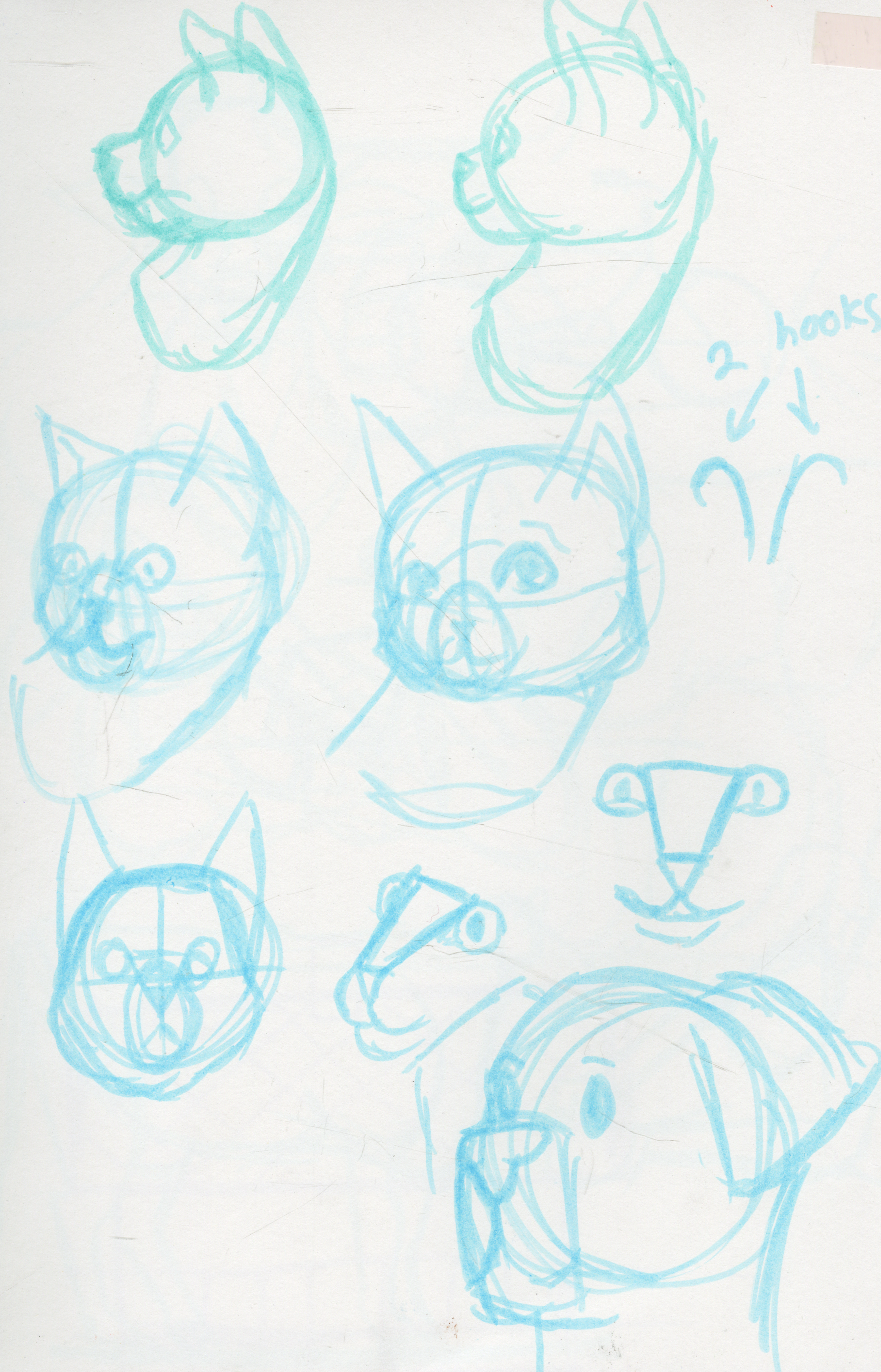 Cat_DogPractice.png