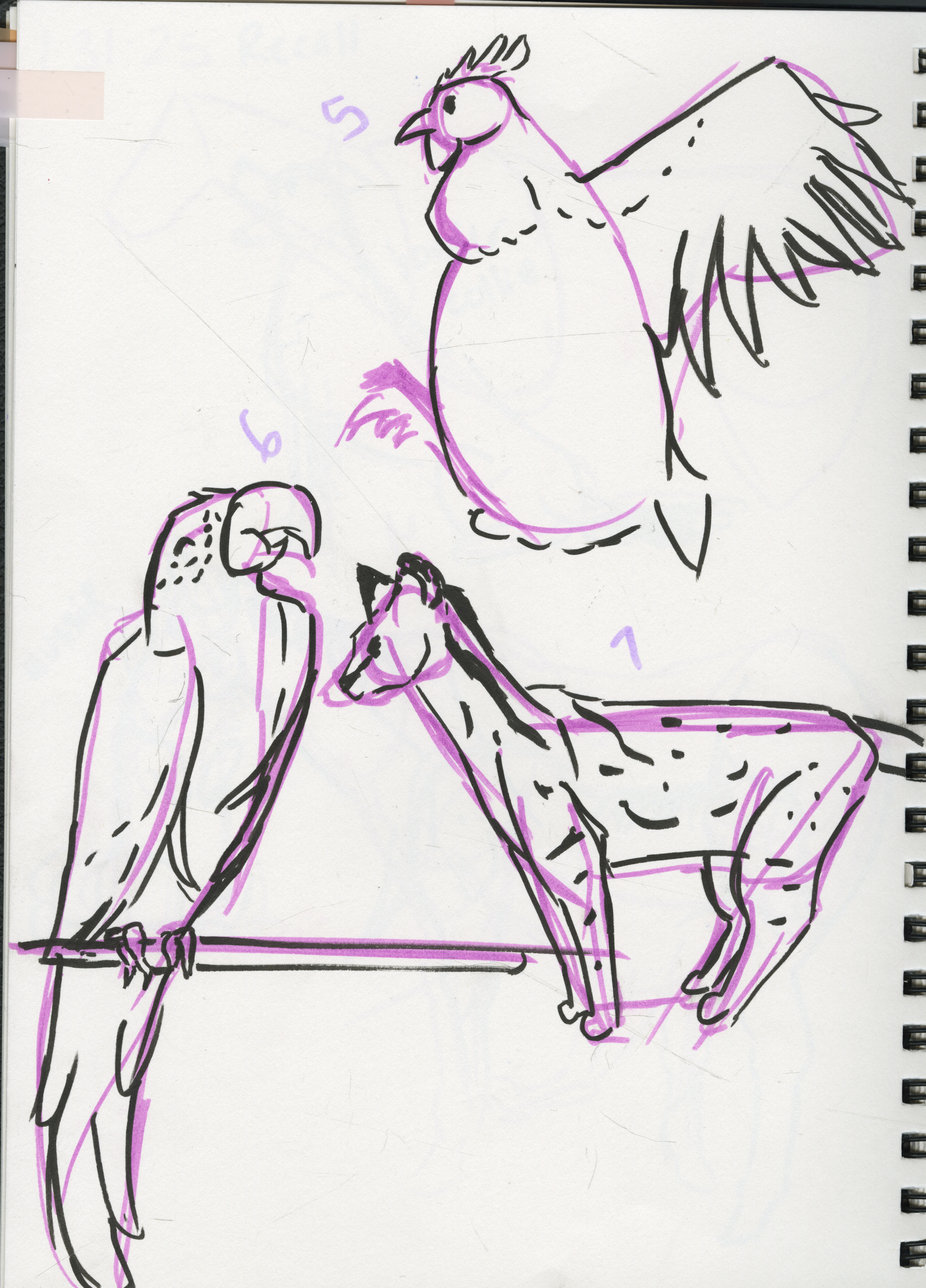 Assorted Animals.png