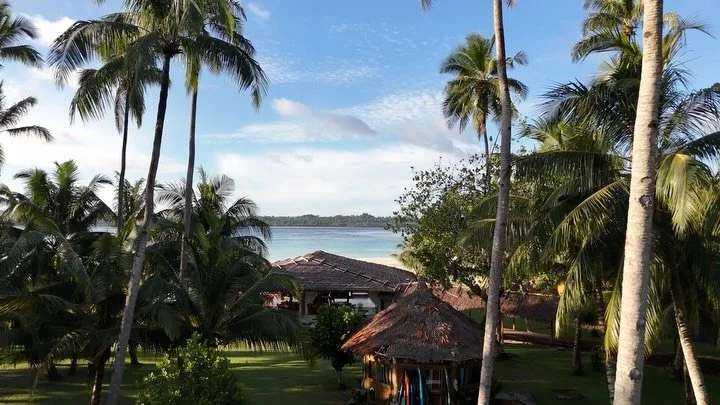 Bird&rsquo;s-eye vision board of 2026 in the tropics 🌴 

🚁 pilots @leamzn @aweraresort @charliway @naagelbaagel @warjie01 

#girlswhosurf #womensretreat #tropicalisland #mentawaisurf #drone