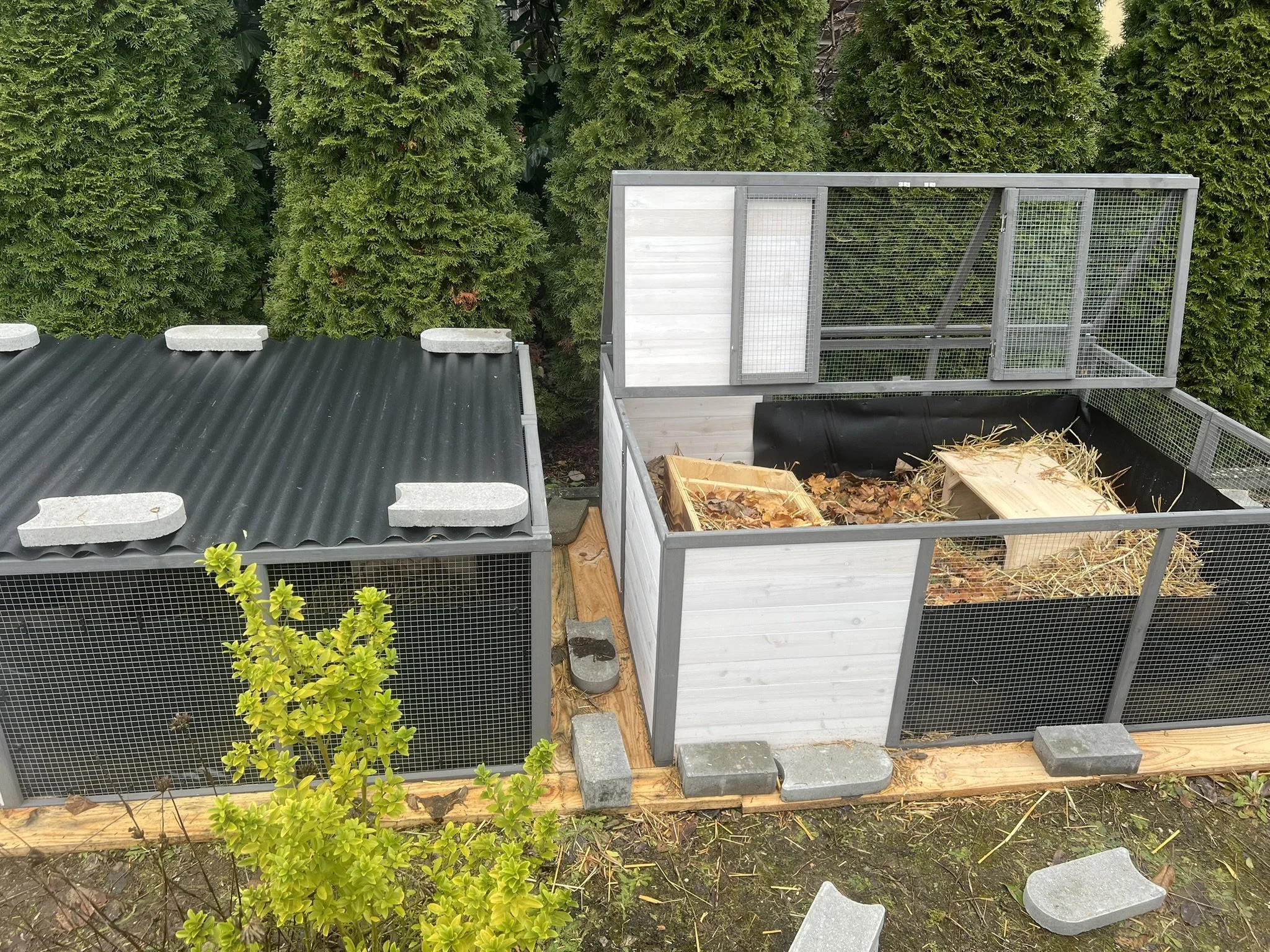 Geeignetes Igelgehege zur Überwinterung