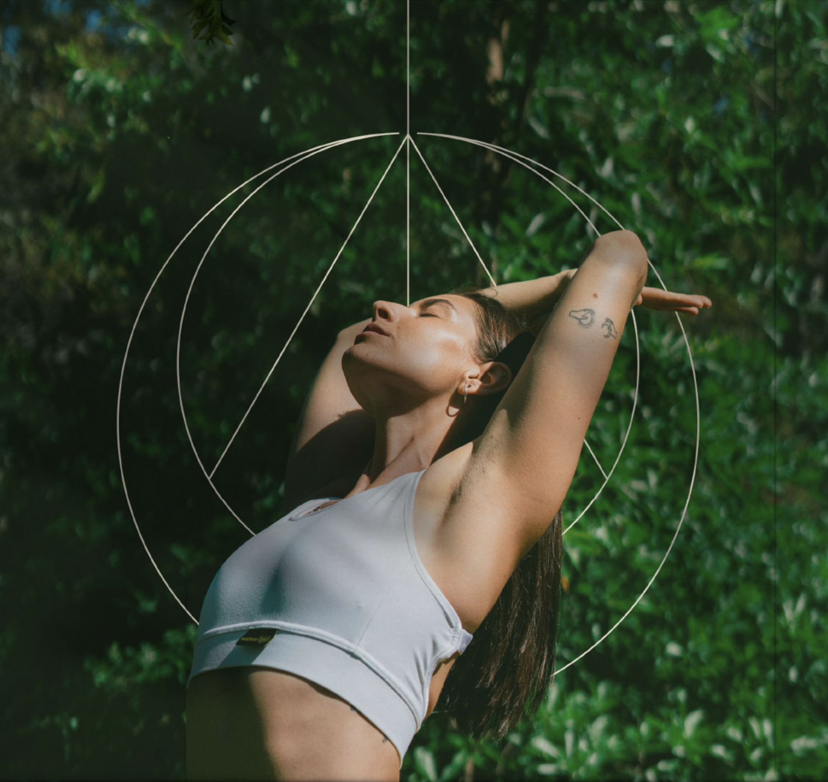 What Is Detoxification?