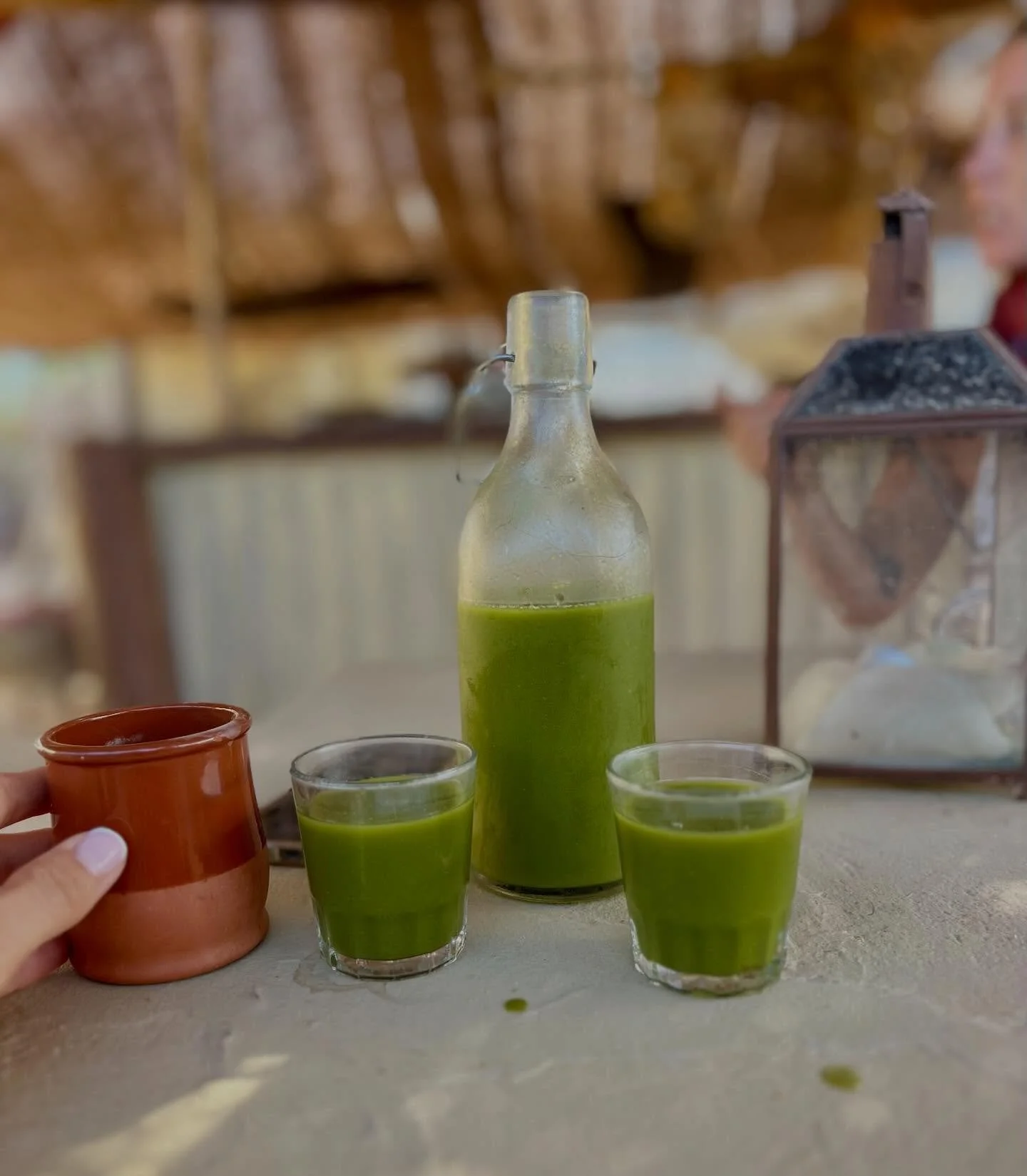 Spring Equinox Fast &bull; 2&ndash;21 March

Spring is already here in Ibiza ☀️
I can feel the light returning, energy rising, nature waking again.

As we move toward the Spring Equinox &mdash;
a point of balance and quiet new beginnings &mdash;
it a