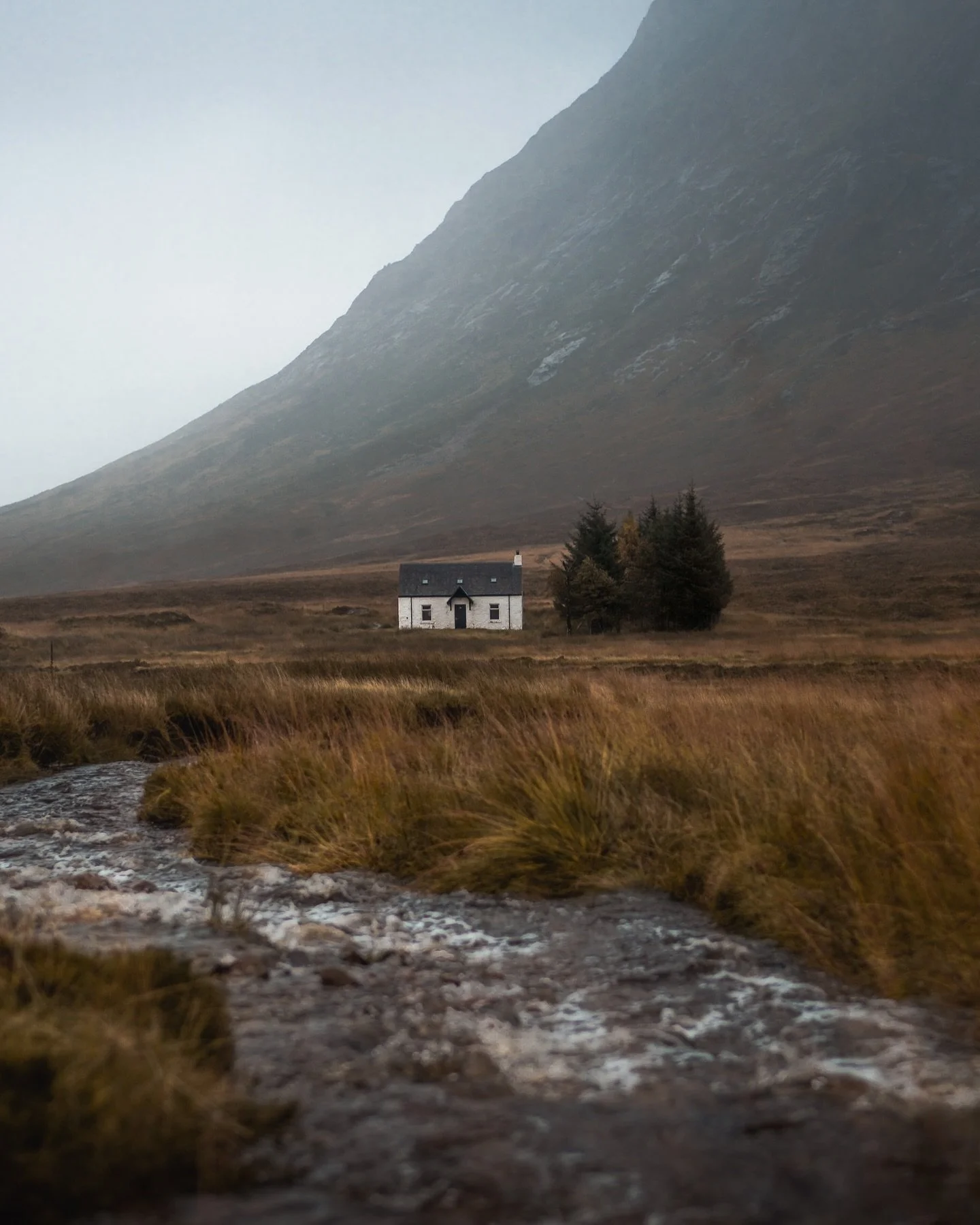 A truly Scottish scene 🌲🦌

Felt like sharing a series to match the mood of the weather outside 🌧️ let&rsquo;s be honest though, Scotland suits it ✨