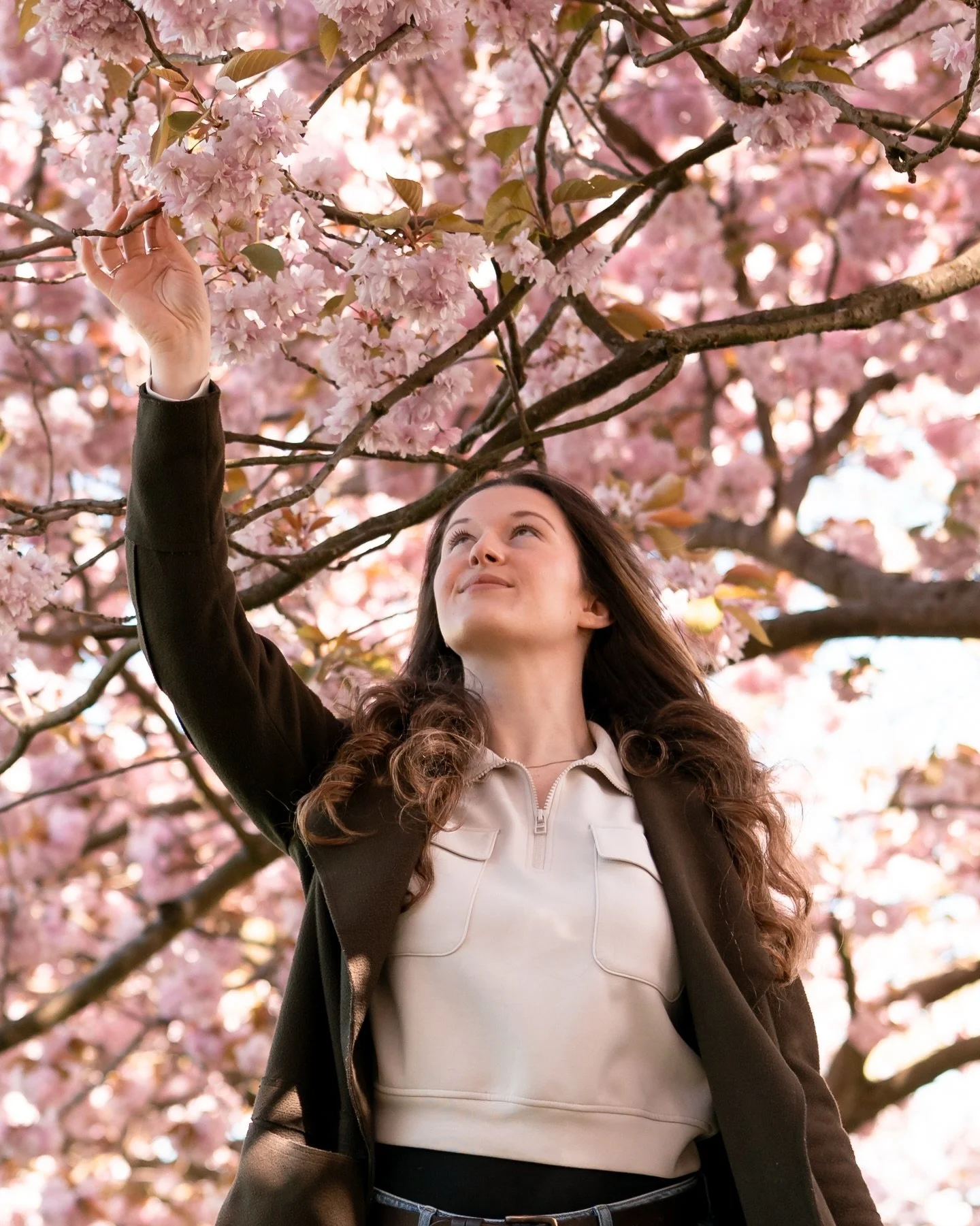 cherry blossom season 🌸

Finally got to capture these beautiful blossoms before they blow away for another year 💛