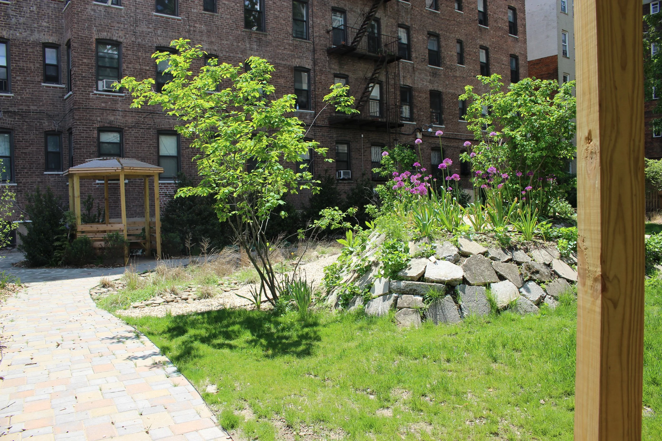 Copy of IMG_0375.JPG