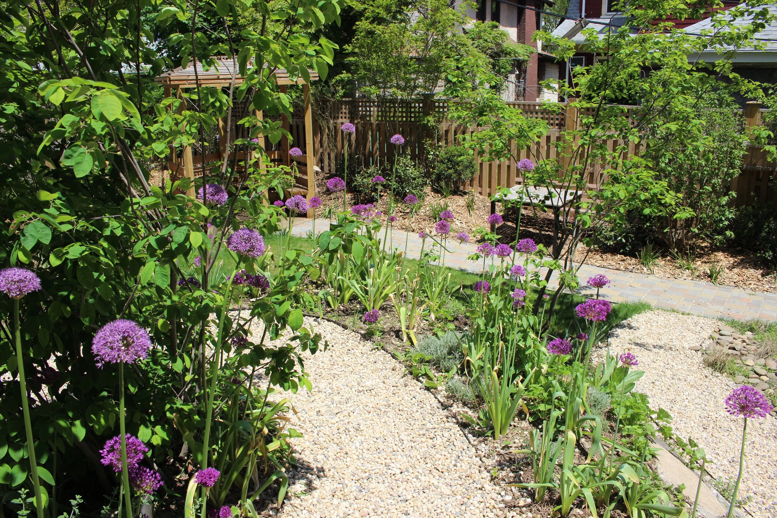 Copy of IMG_0378.JPG