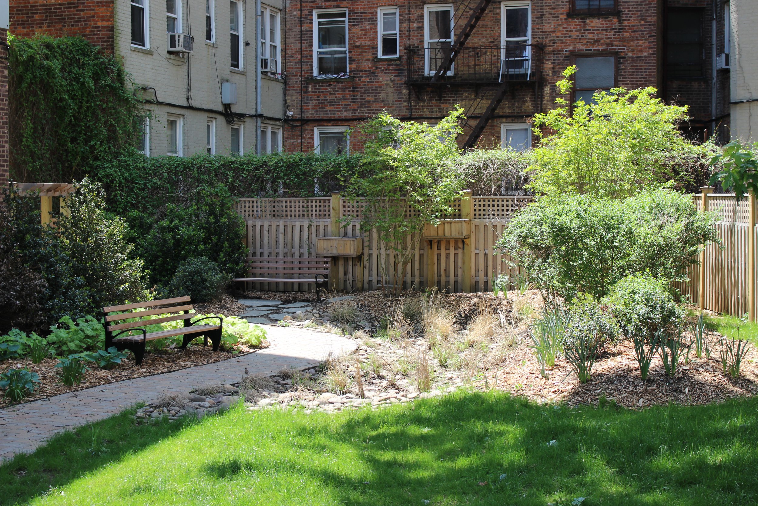 Copy of IMG_0377.JPG