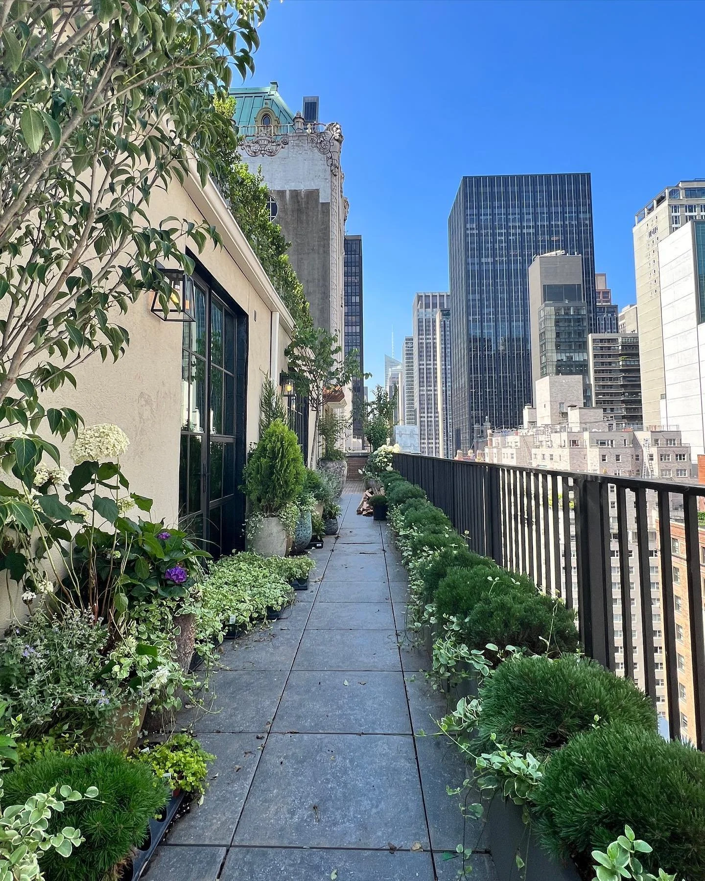 Copy of 4424fc6481abd876d010bbff1885b9a2ec9f5414d6b0496fb1d04a182849242c.jpg