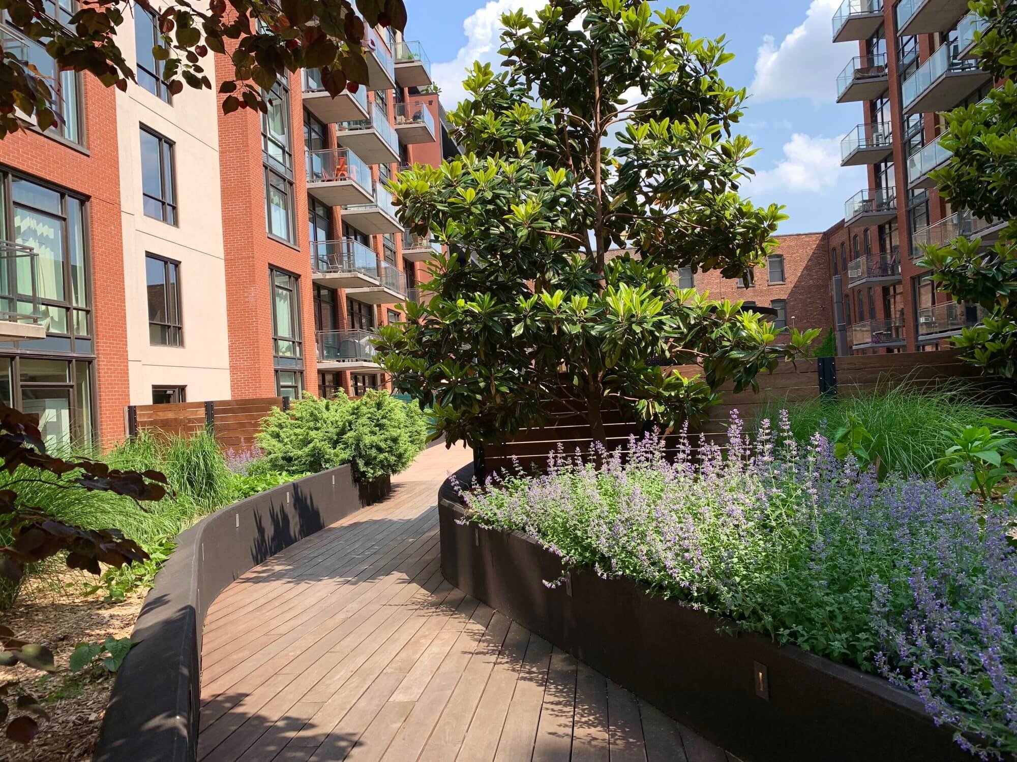 Copy of Highview-Creations-101-Bedford-greenroof1.jpg